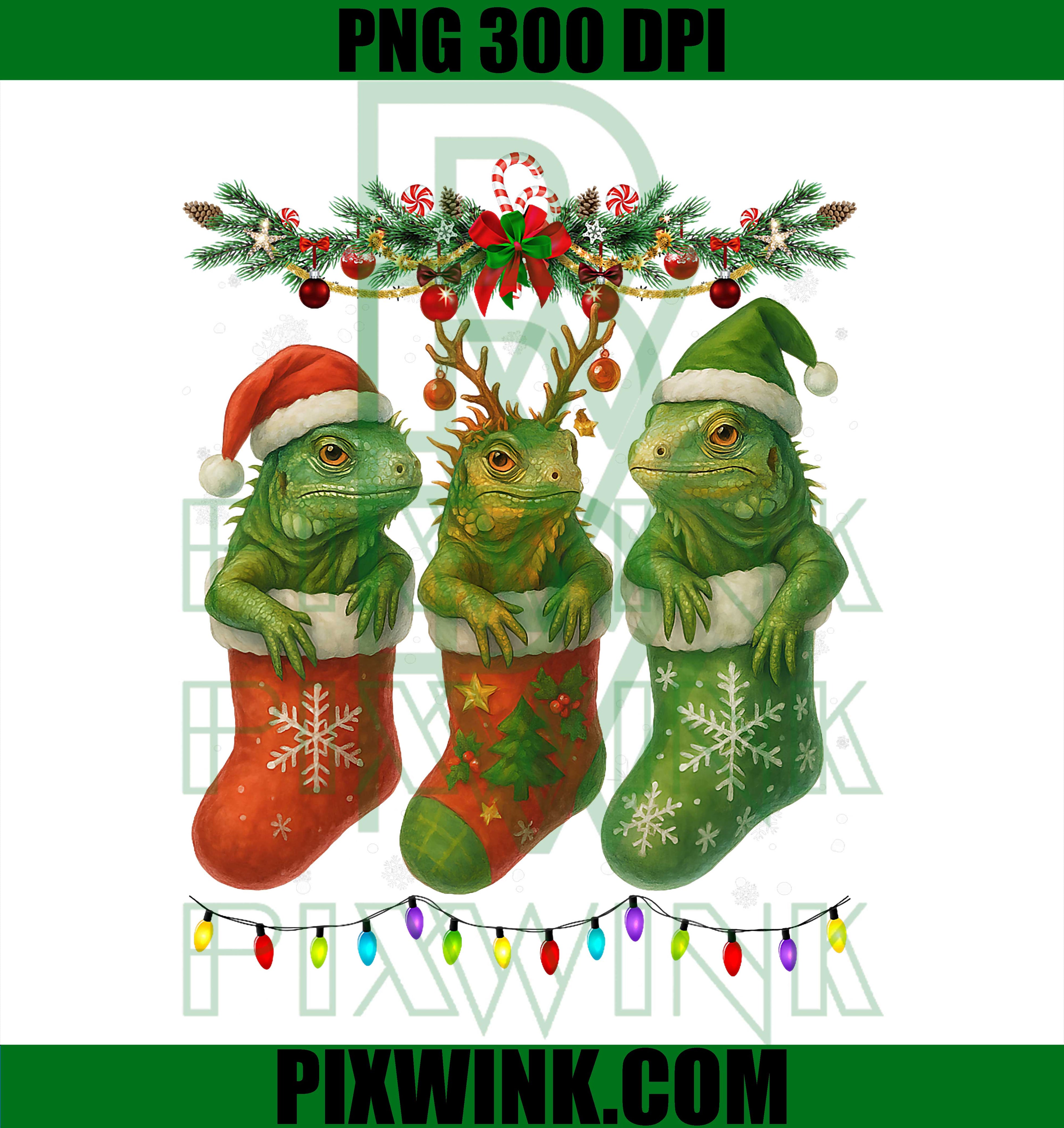 Iguanas in Christmas Socks Lights, Iguanas Xmas PNG