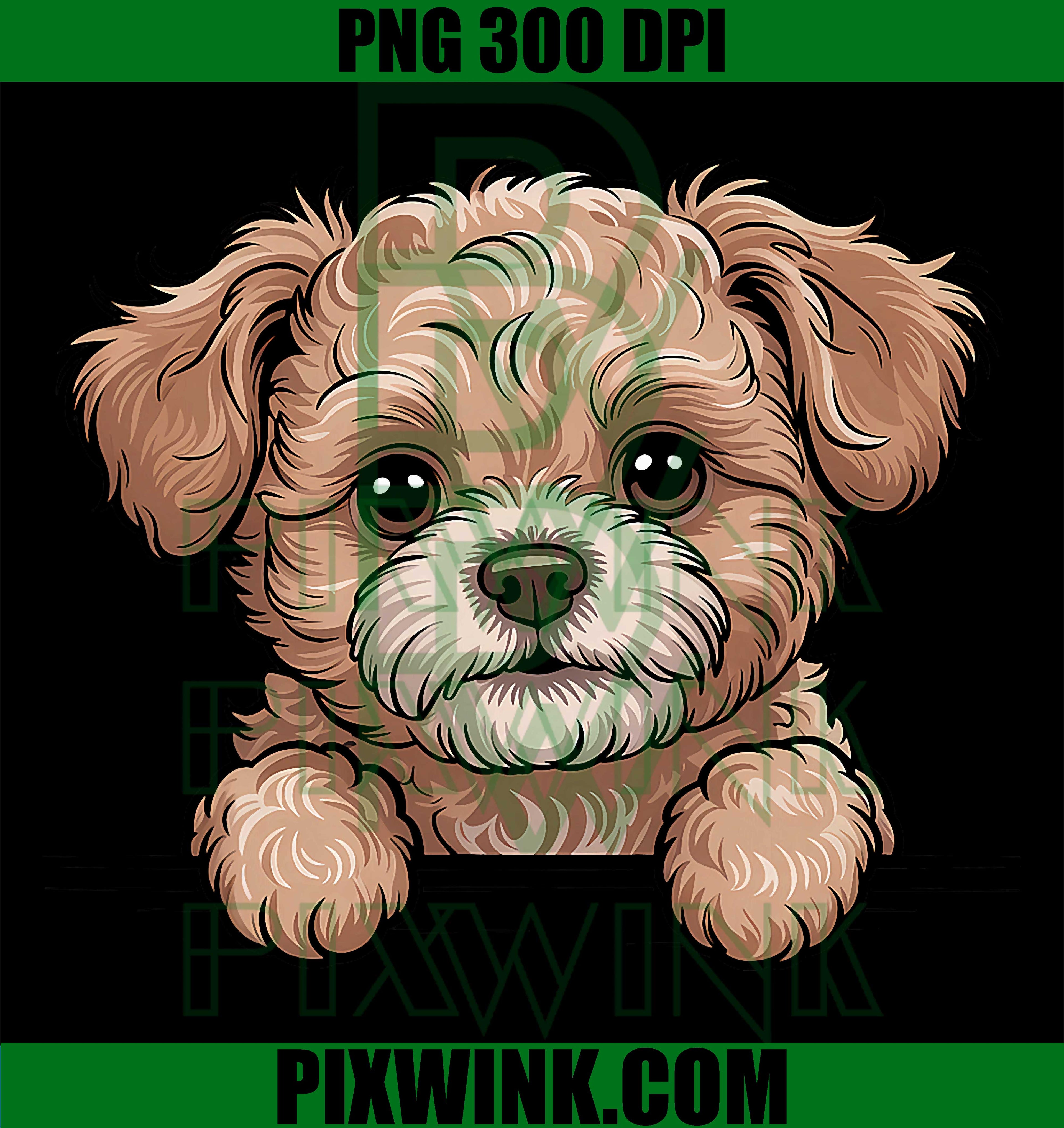 Peekapoo Cute Peeking PNG, Peke A Poo Pekingese Poodle Mix PNG