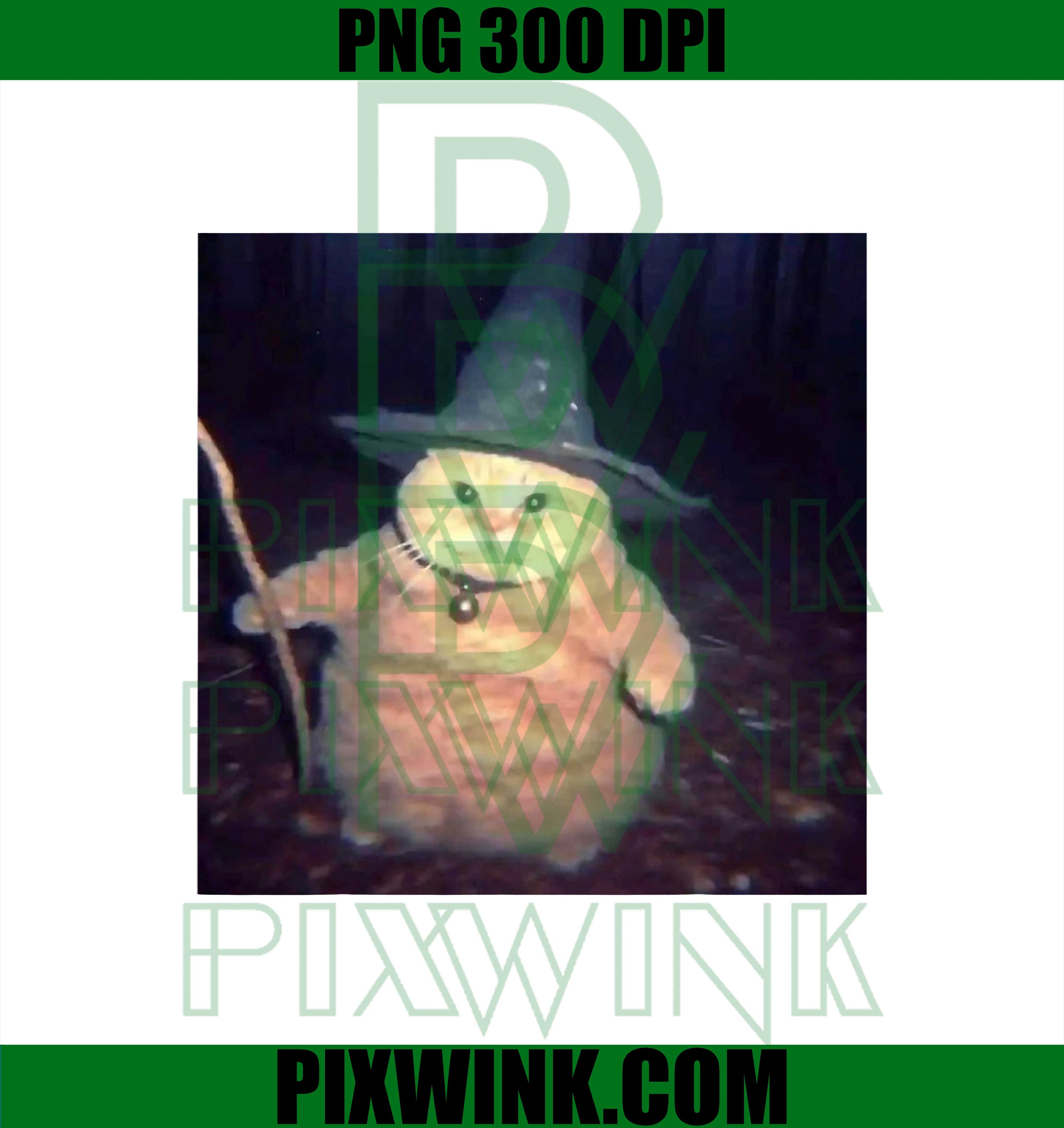 Wizard Cat Weird PNG, Funny Halloween Cat Meme PNG