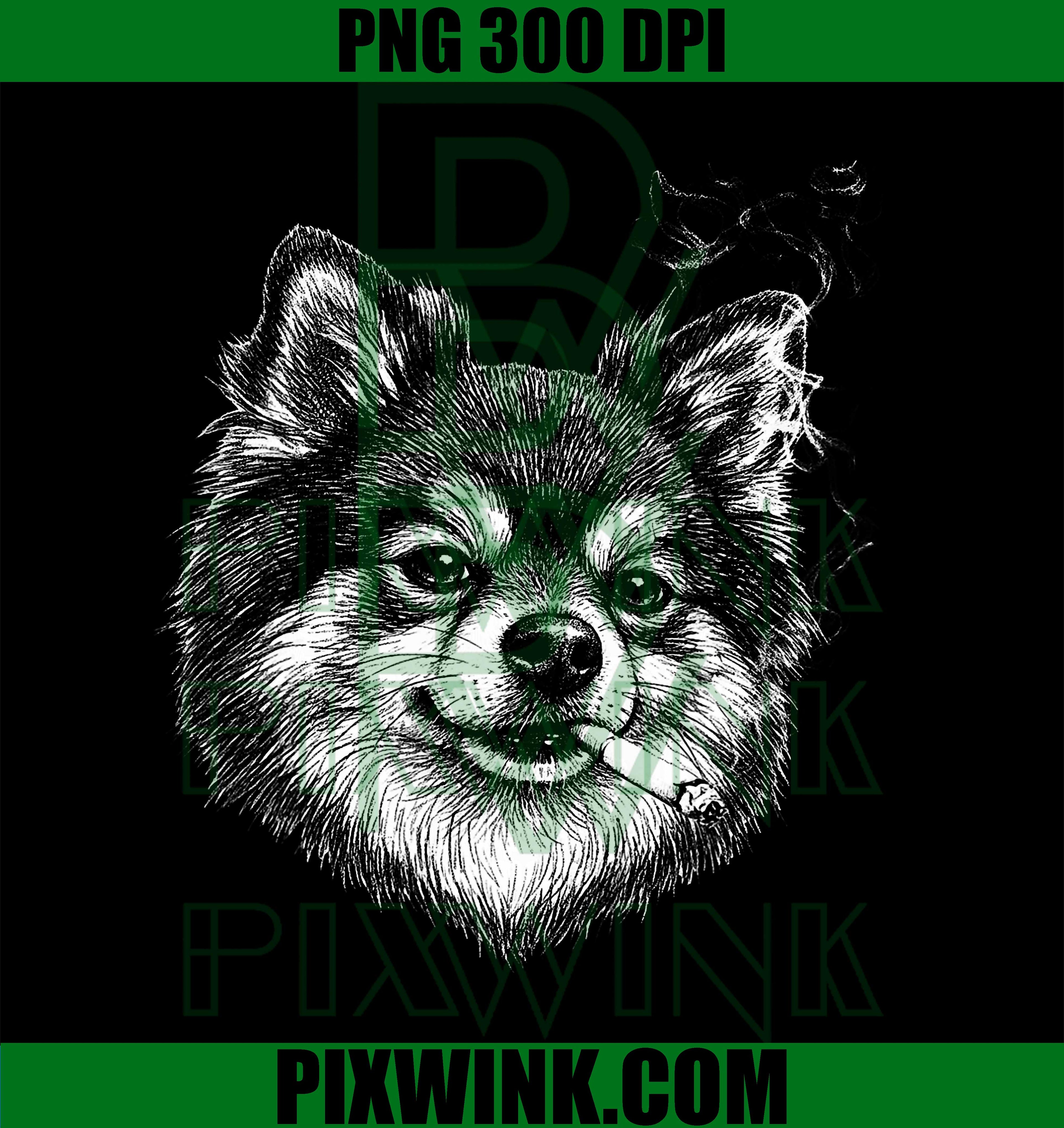 Smoking Pomeranian PNG, Funny Pomeranian Meme PNG, Pomeranian Dog PNG