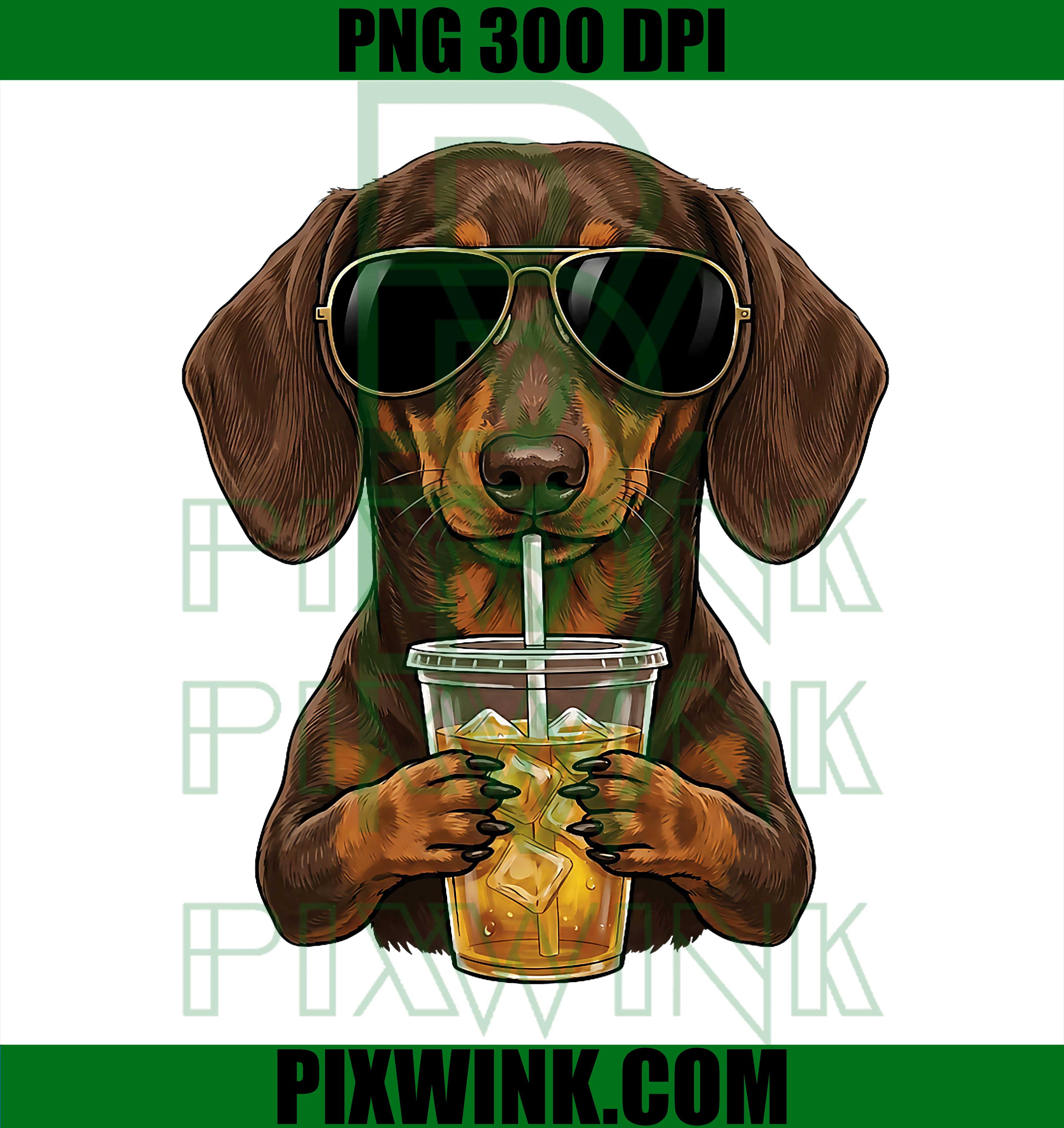 Funny Dachshund Drinking Iced Coffee PNG, Cute Dog Meme Humor PNG
