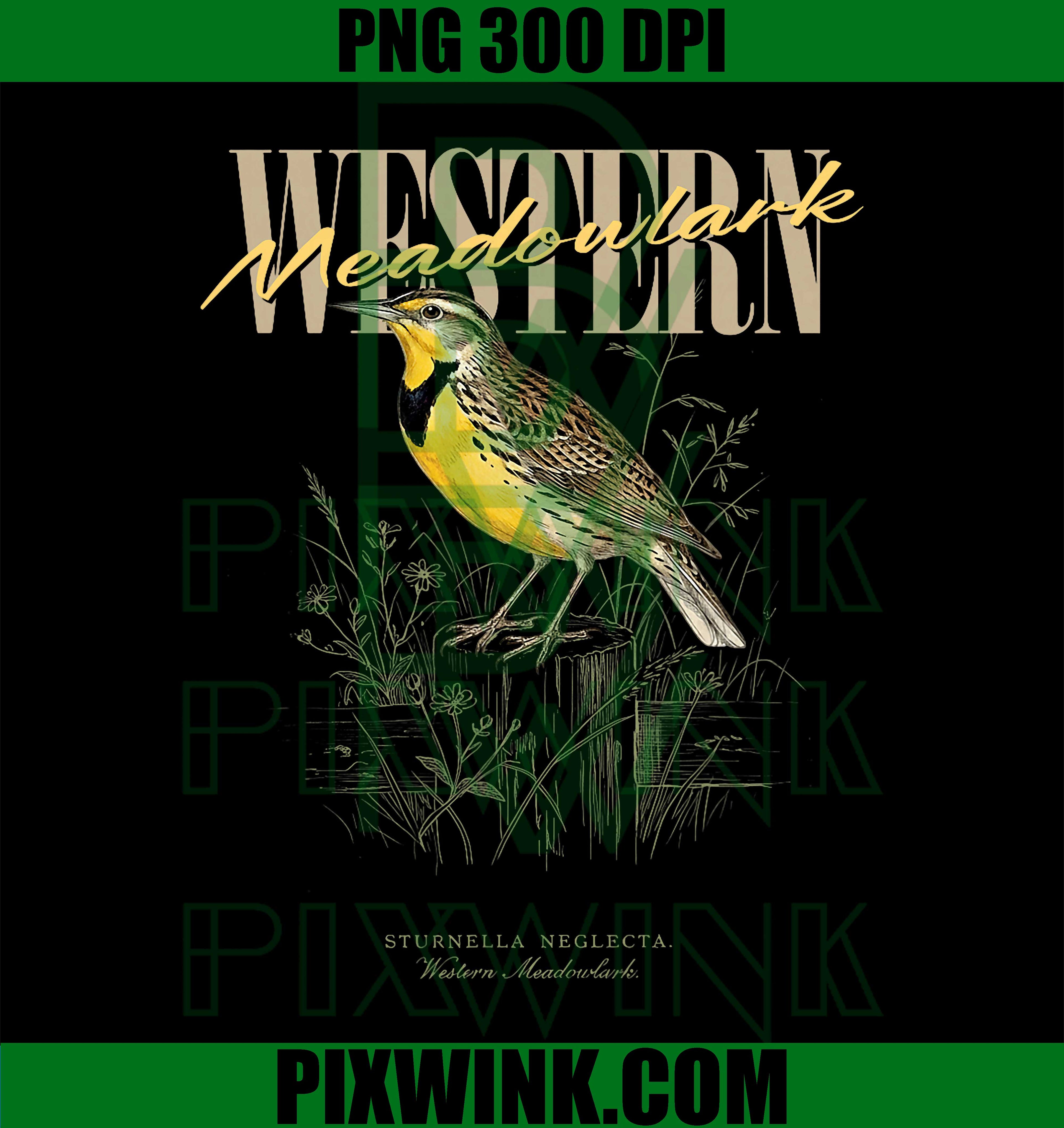 Vintage Meadowlark Bird Watching PNG, Western Bird Lover Retro Nature Graphic PNG