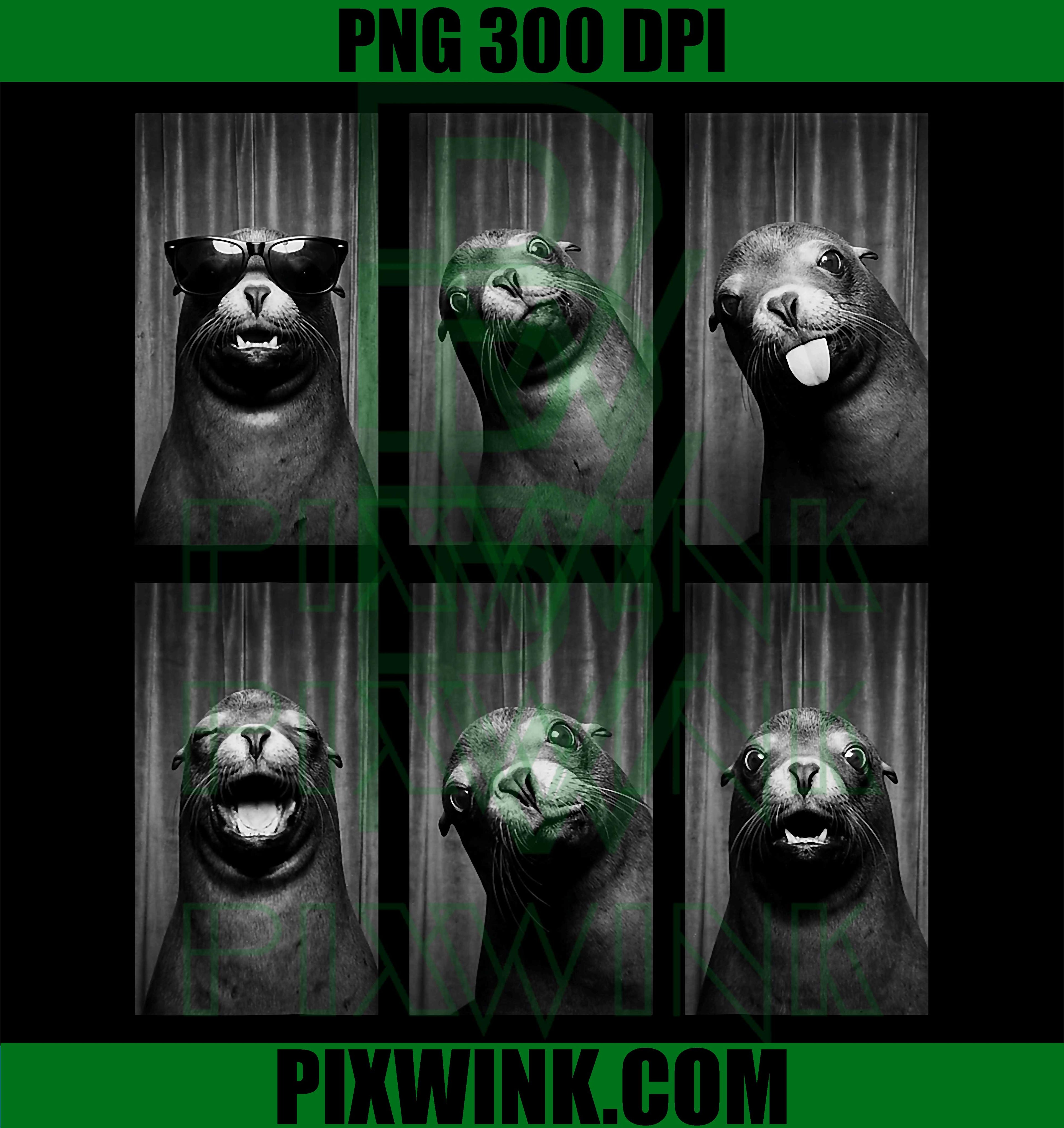 Sea Lion Photobooth PNG, Funny Ocean Animal Portrait PNG