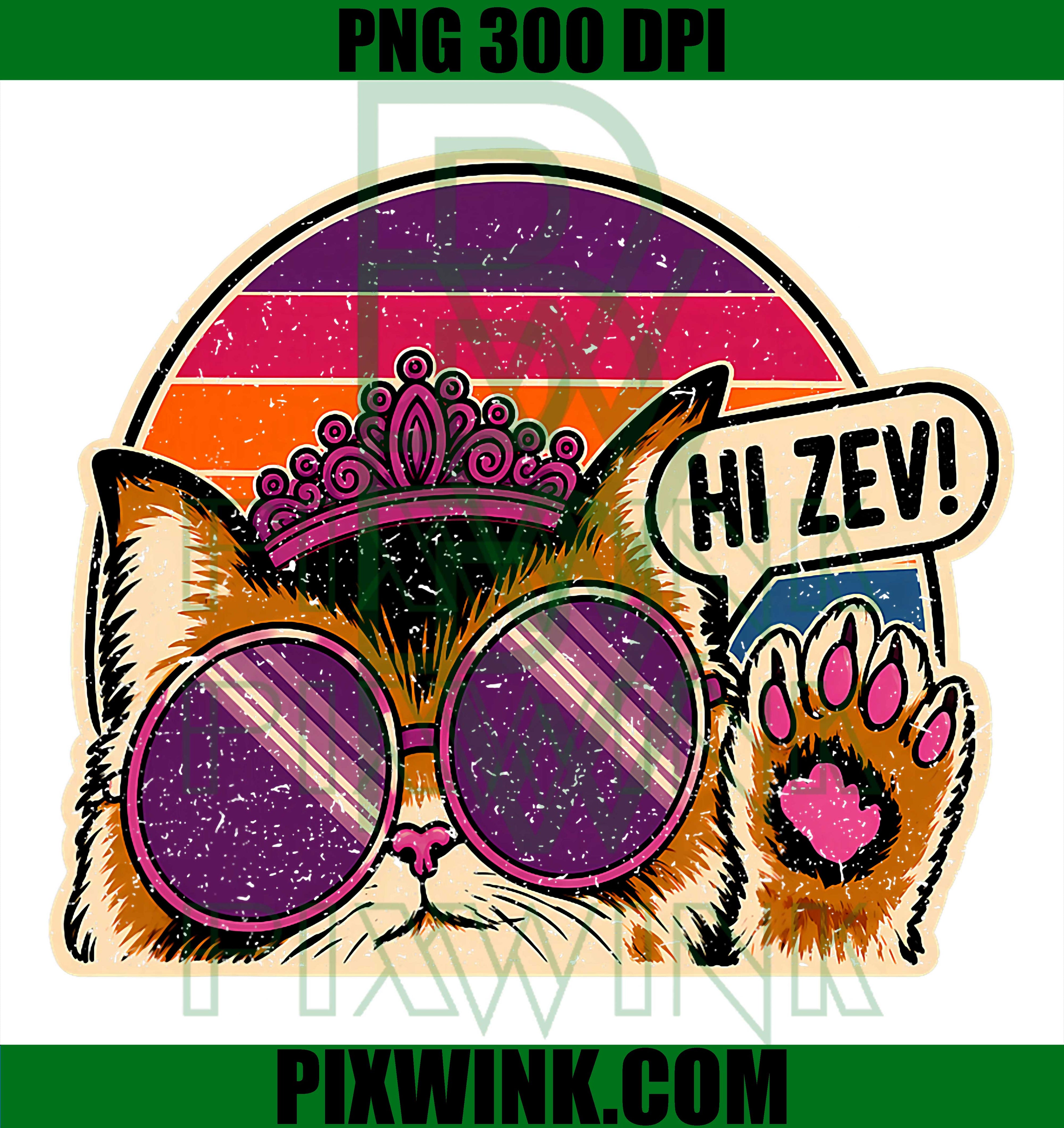 Funny Cat Princess PNG, Retro Sunset Sunglasses Crown PNG