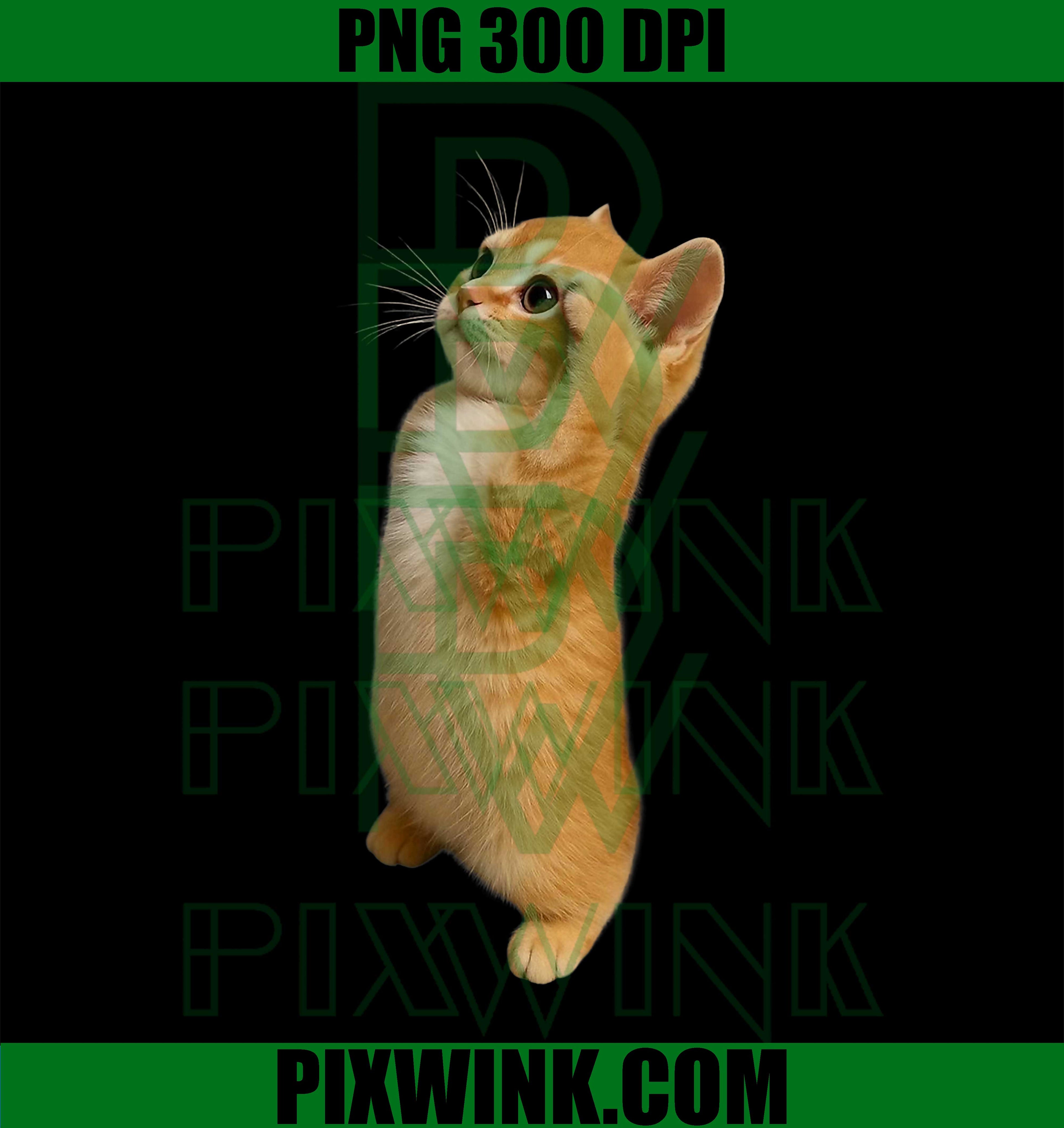 Funny Ginger Cat Standing Meme PNG, Cute Kitten Humor Gift PNG