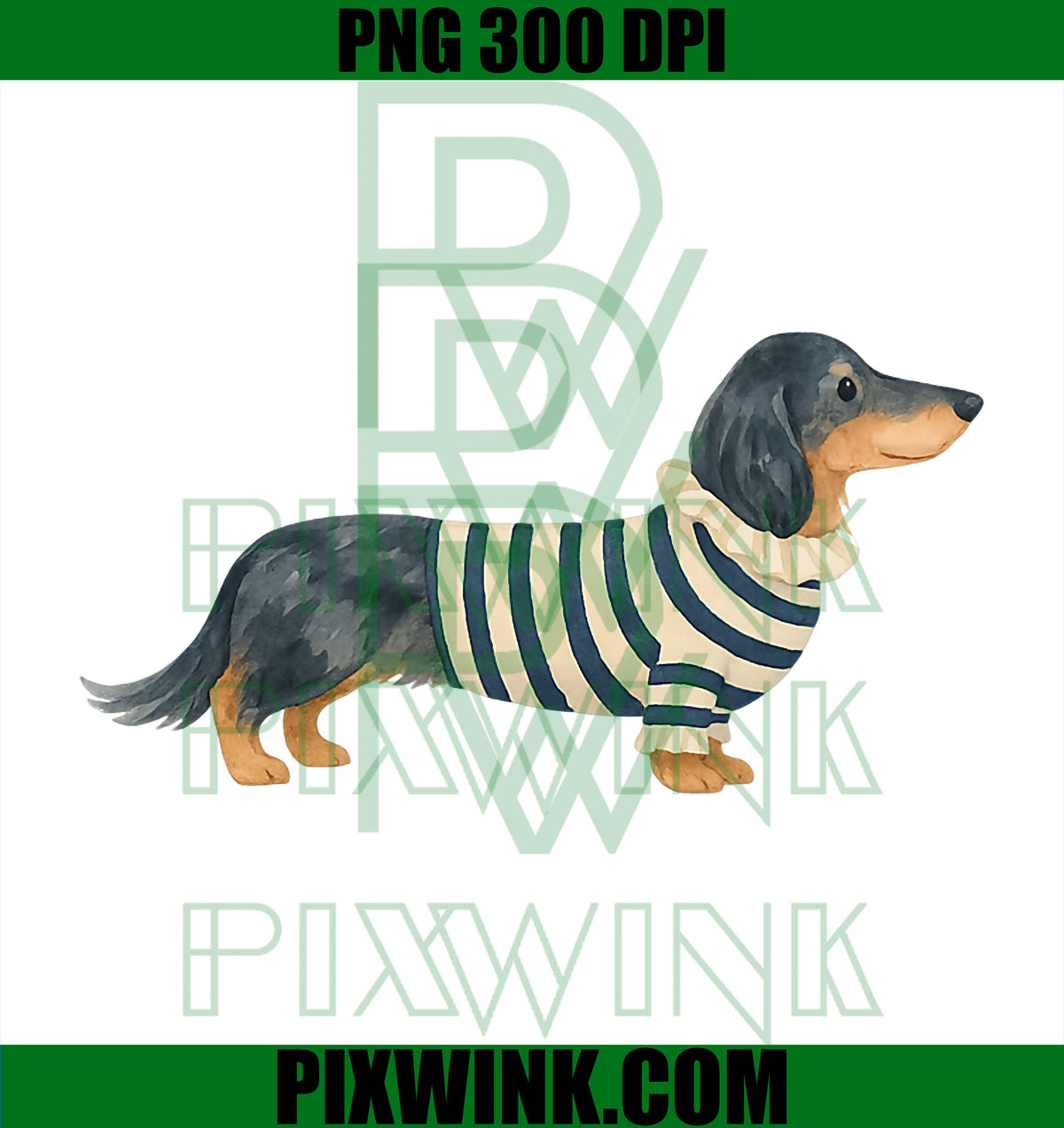 Long Haired Dapple Dachshund in Stripes Dog Mom Must Have PNG