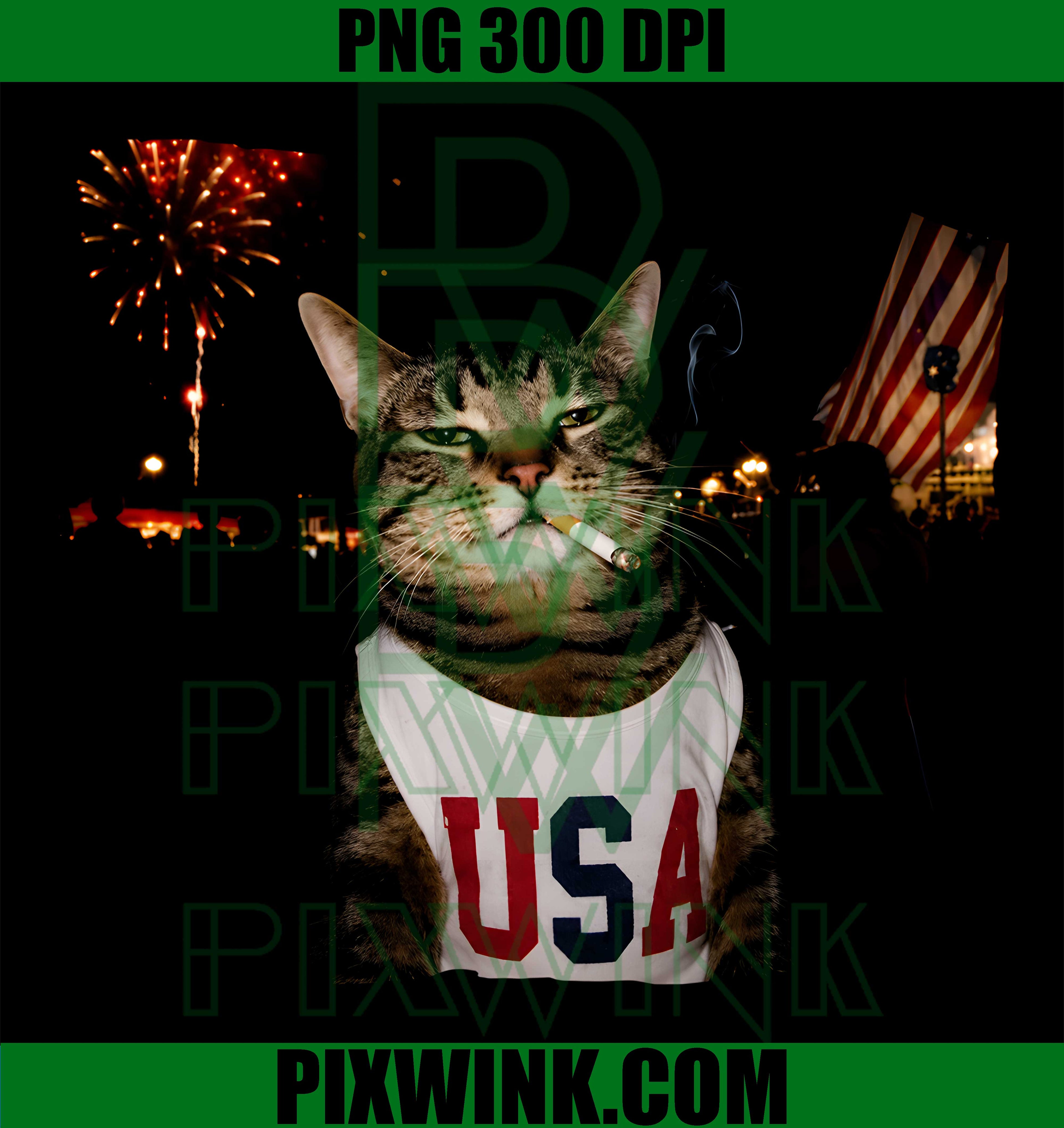 July 4th Patriotic Cat PNG, 250 Years Cat Lover PNG