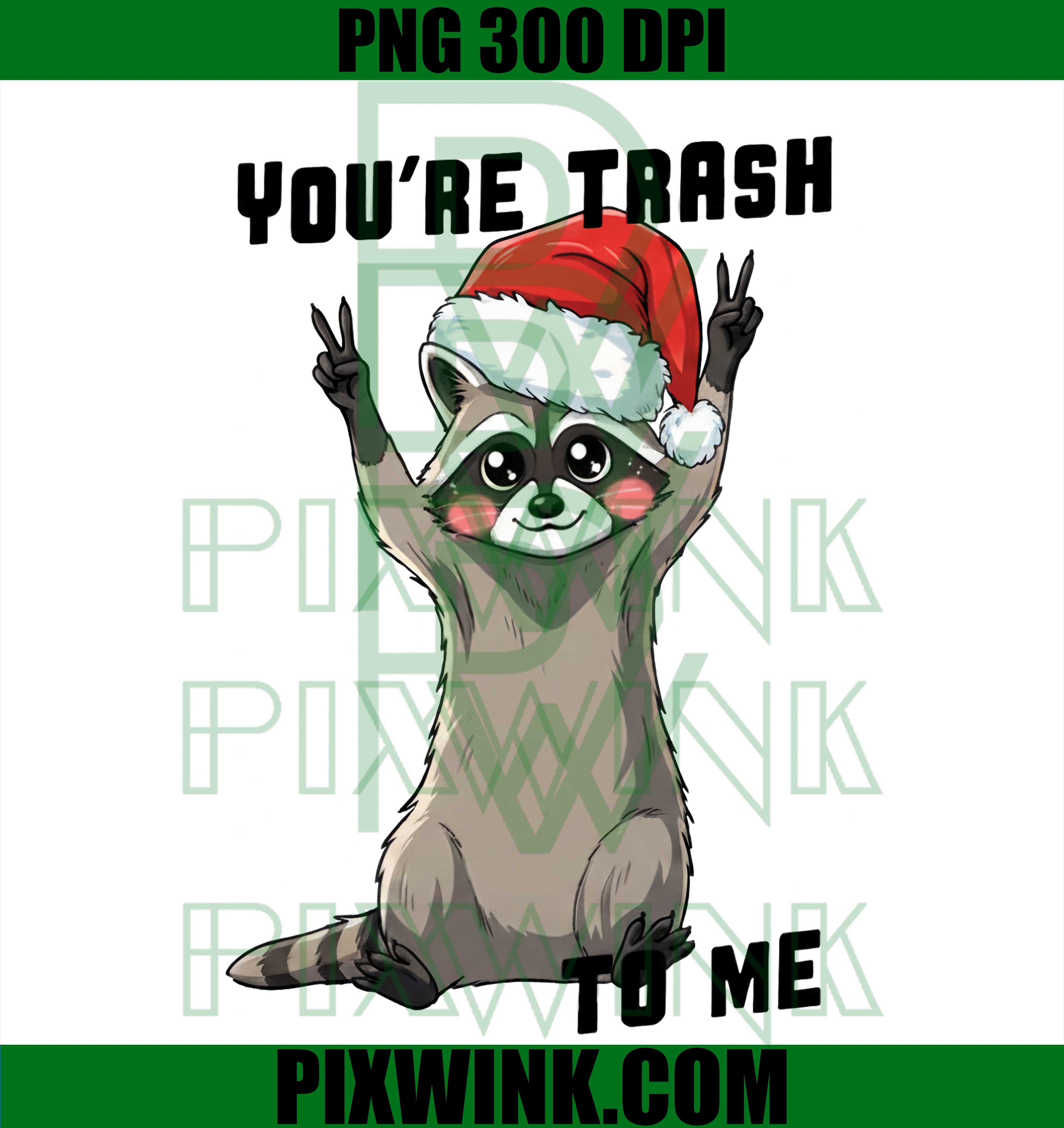 You're Trash To Me PNG, Cute Racoon Santa Hat PNG