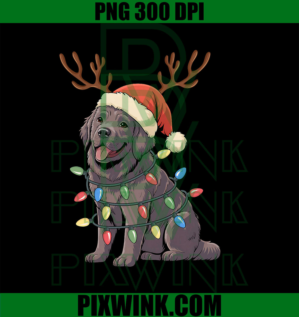 Newfoundland Dog Christmas Lights Santa Reindeer, Xmas Dogs PNG