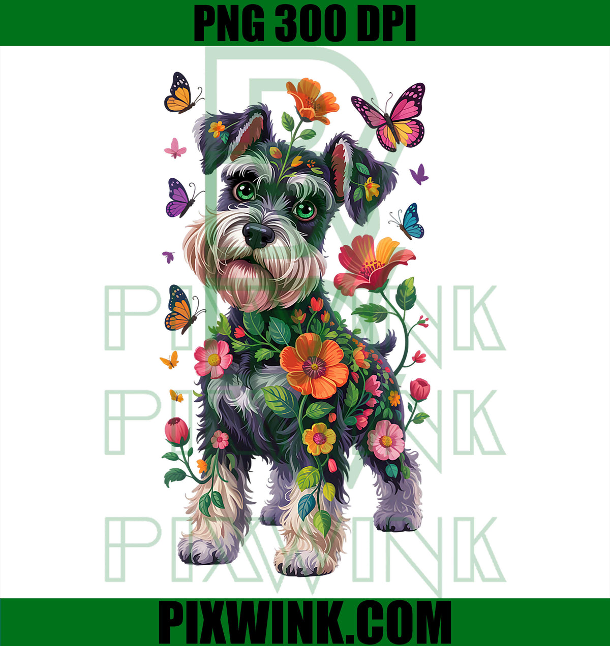 Schnauzer Dog Mini Schnauzer PNG