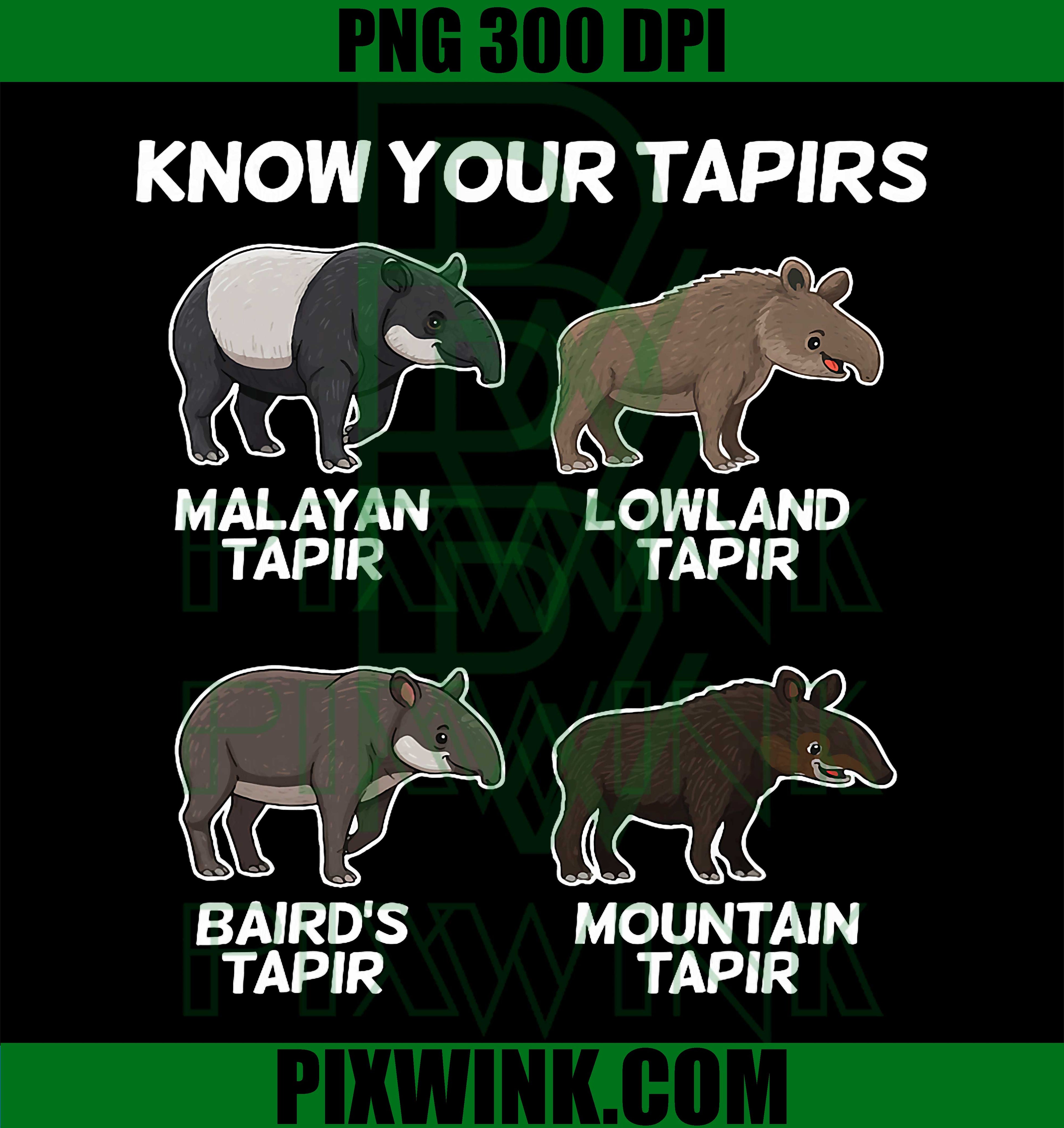 Cute Tapir Design PNG, Animal Tapir Lovers PNG