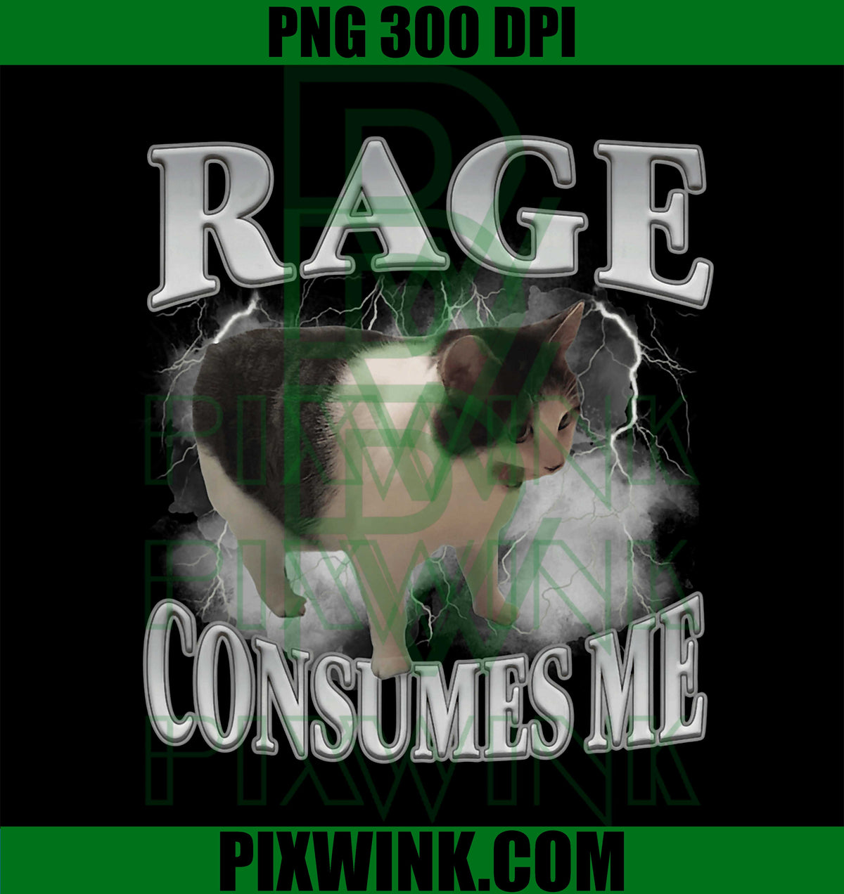 Rage Consumes Me Funny Cat Meme PNG