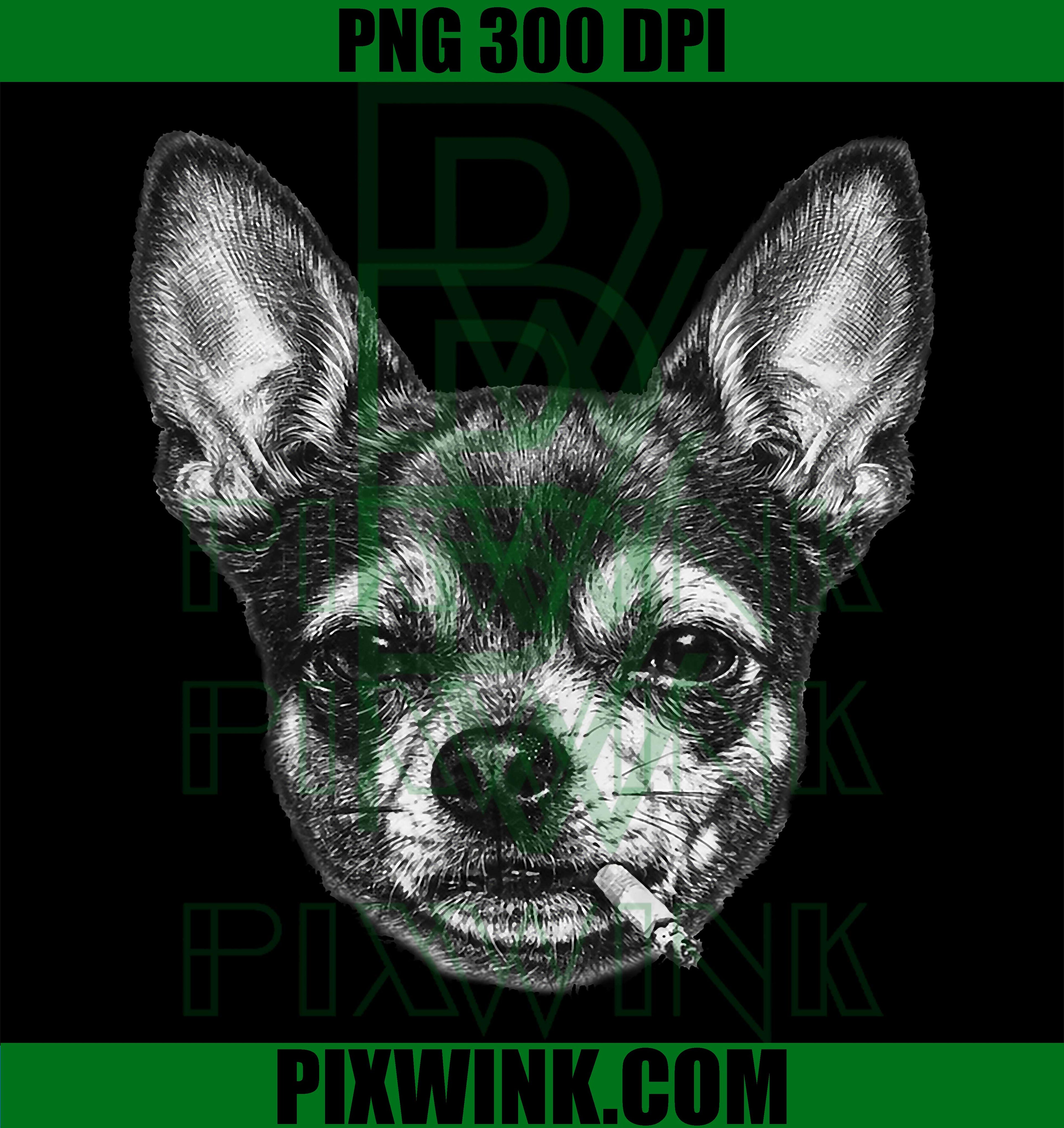 Dog Smoking Cigarette Meme PNG, Funny Vintage Chihuahua PNG