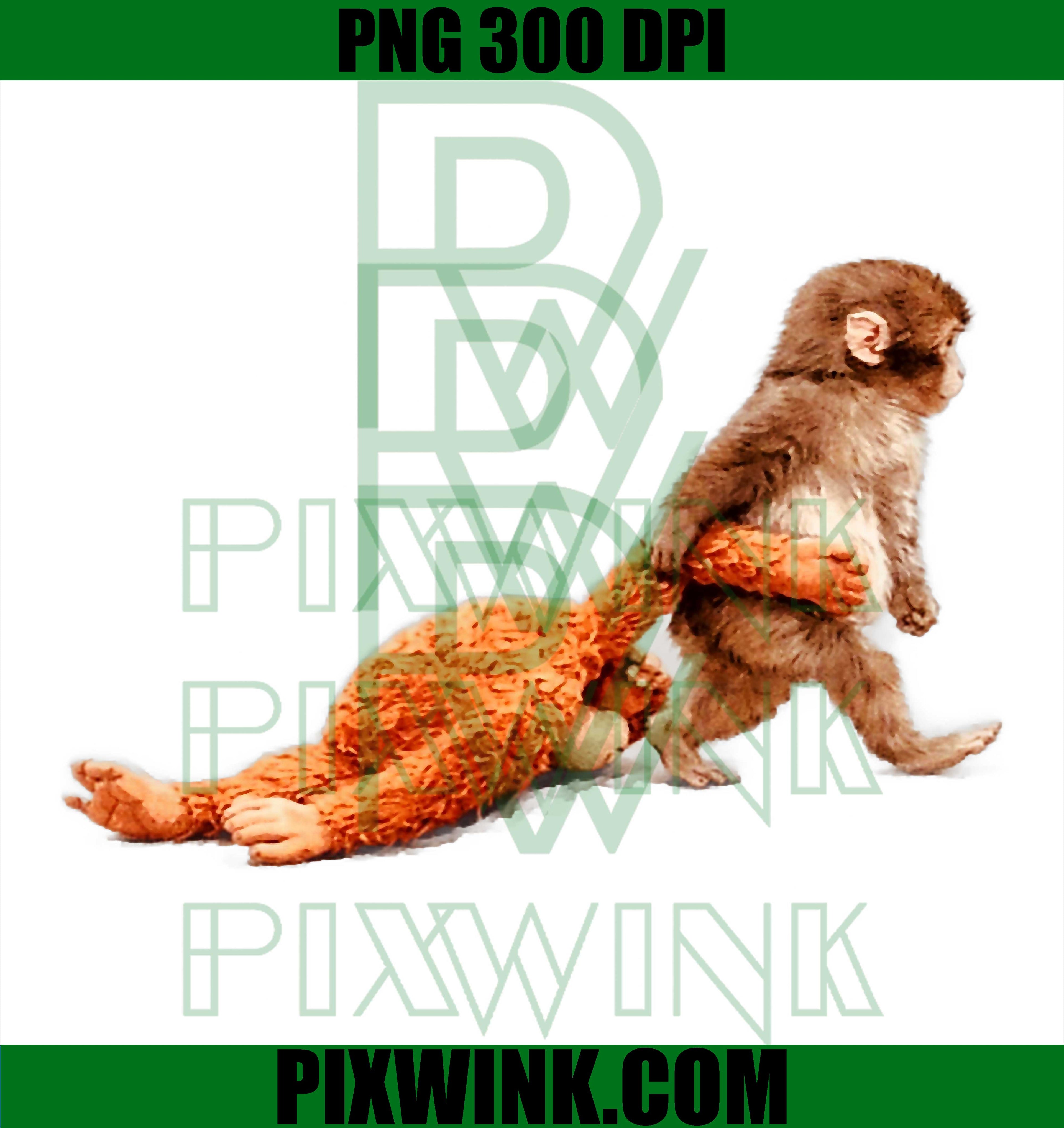 Baby Monkey Punch PNG, Cute Monkey Punch Graphic PNG
