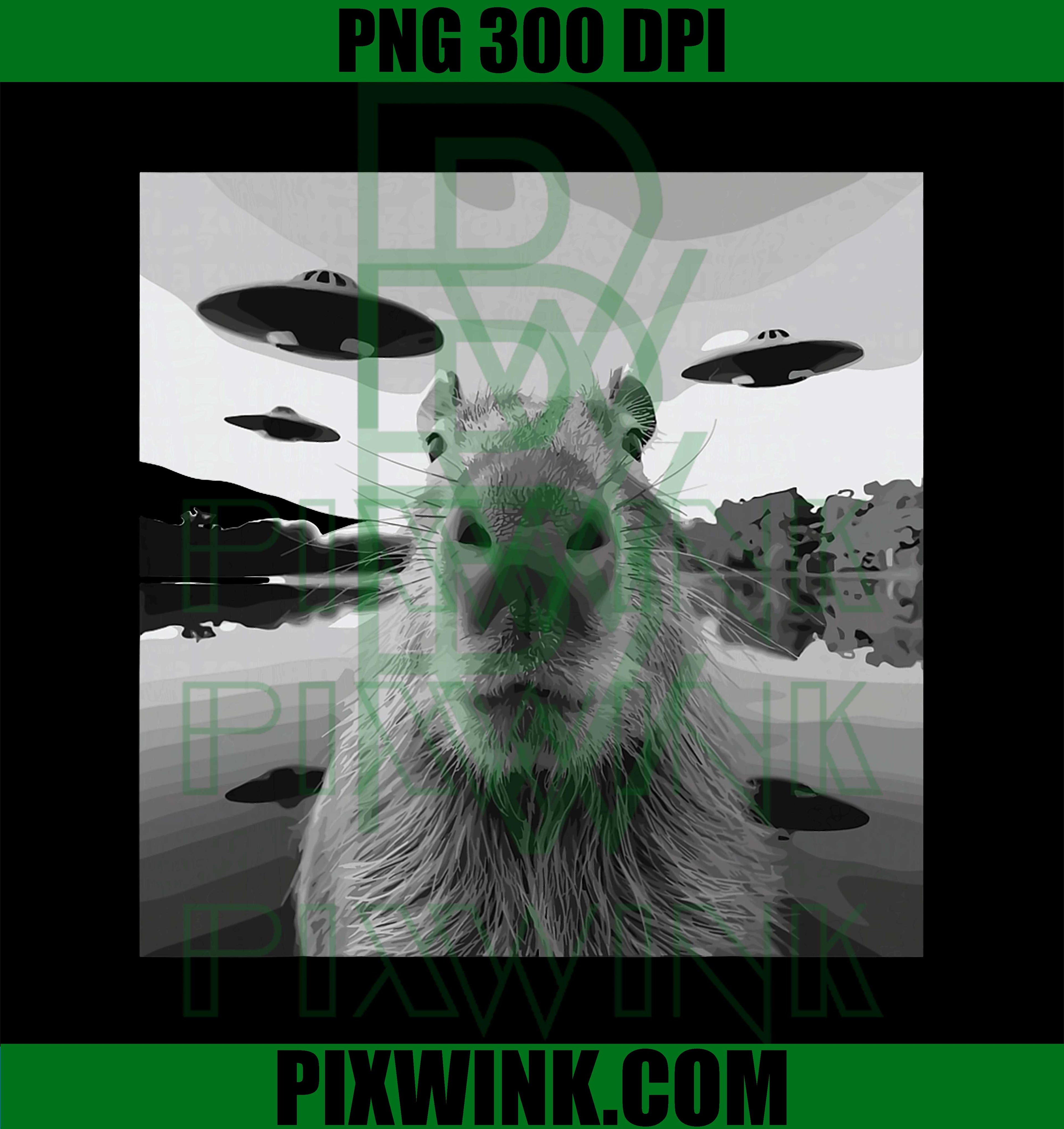 Capybara Selfie with UFOs Weird Alien, Funny Cool PNG