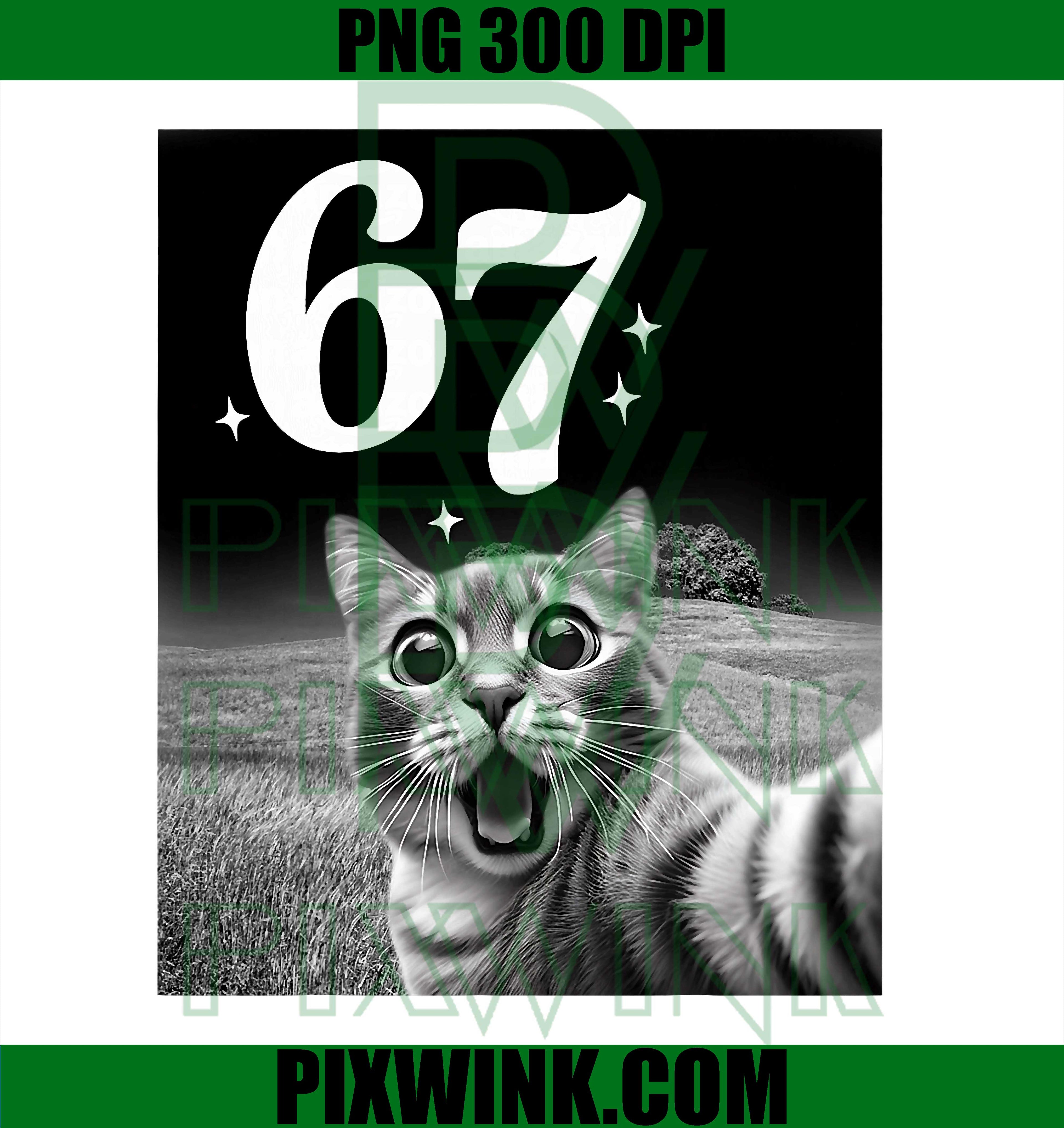 Cat Selfie with 67 Meme Funny Cats Graphic PNG