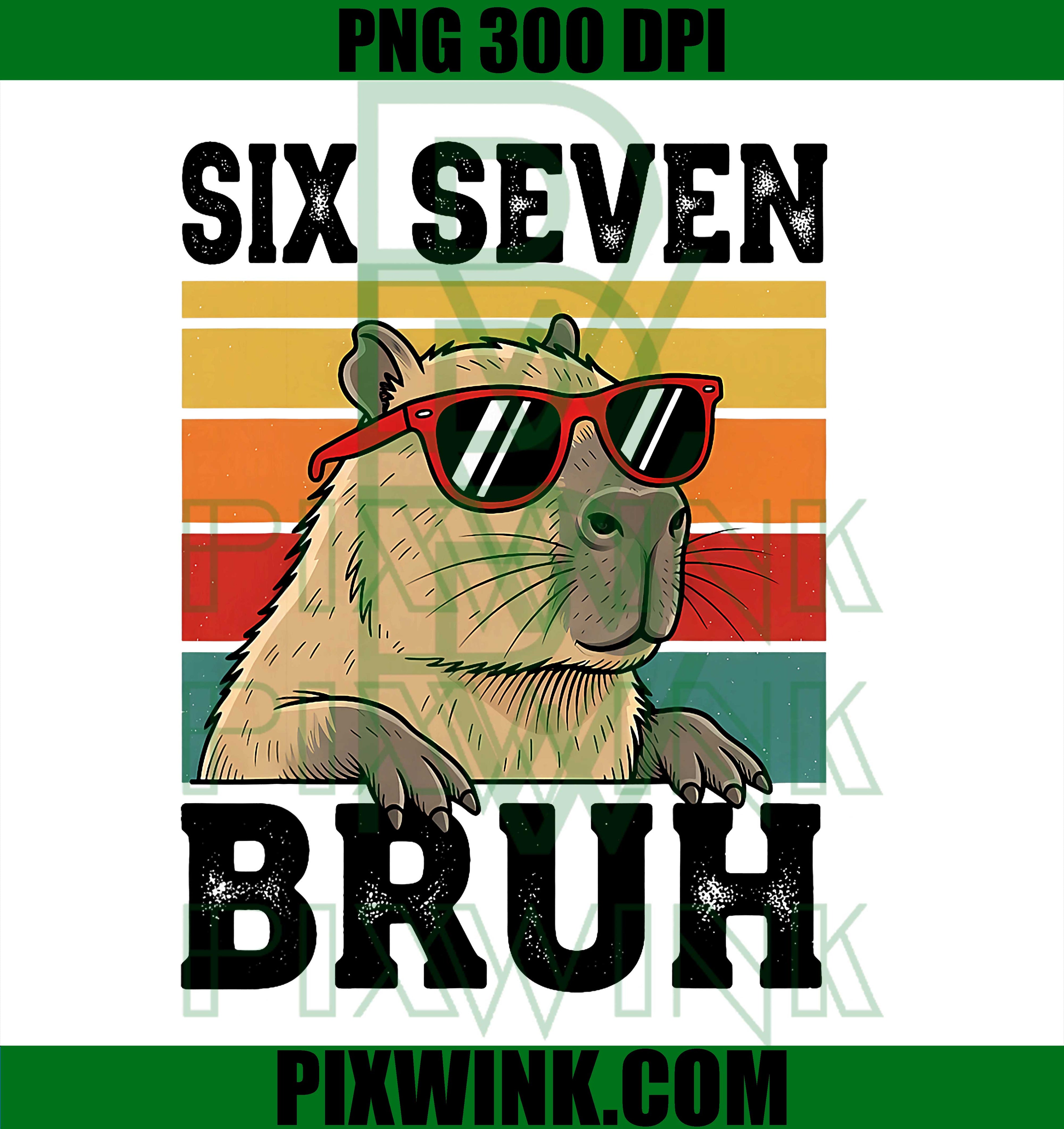 Six Seven Bruh 67 Meme Funny Capybara PNG