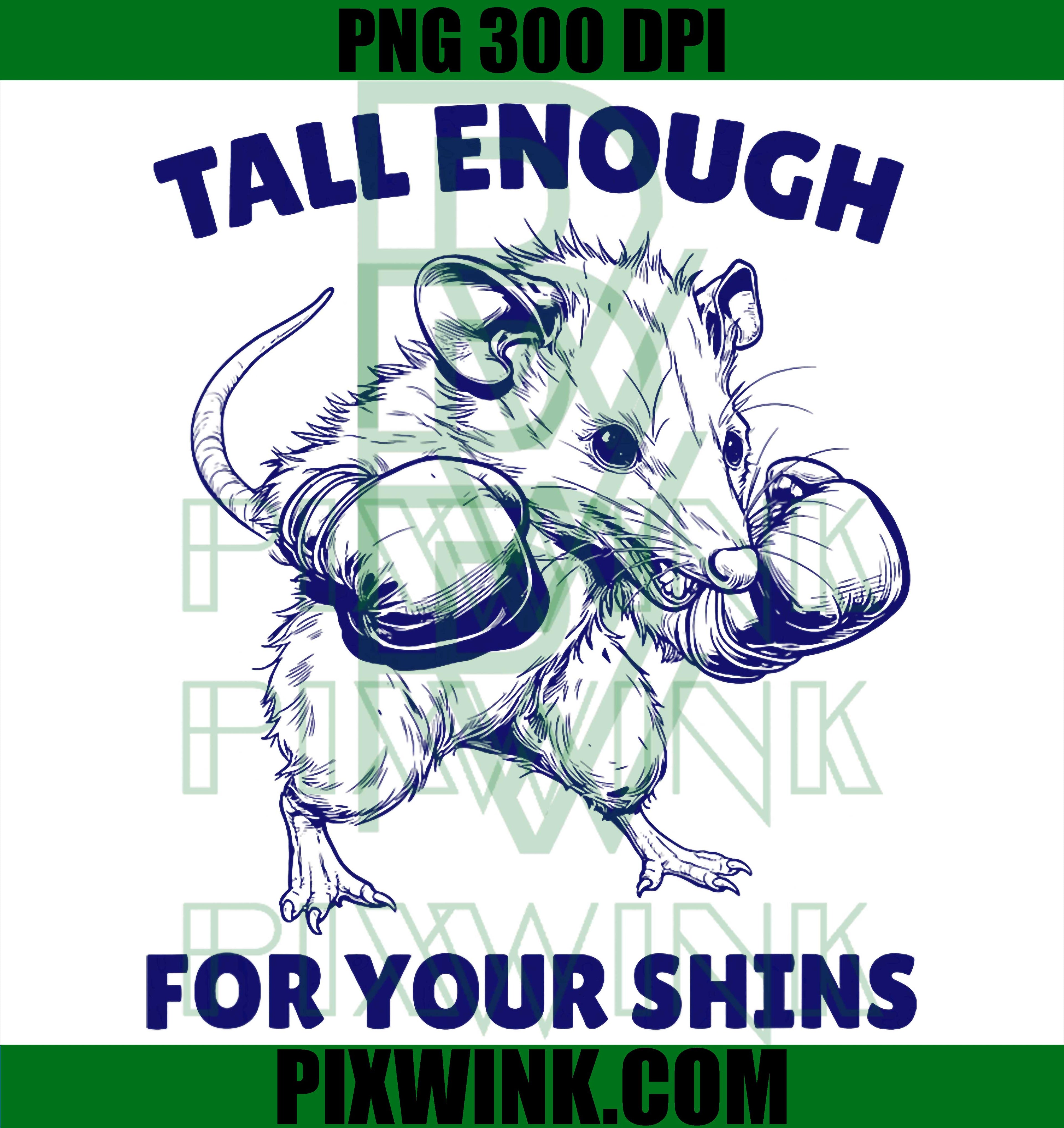 Boxing Possum Meme PNG, Funny Unhinged Shins Design PNG