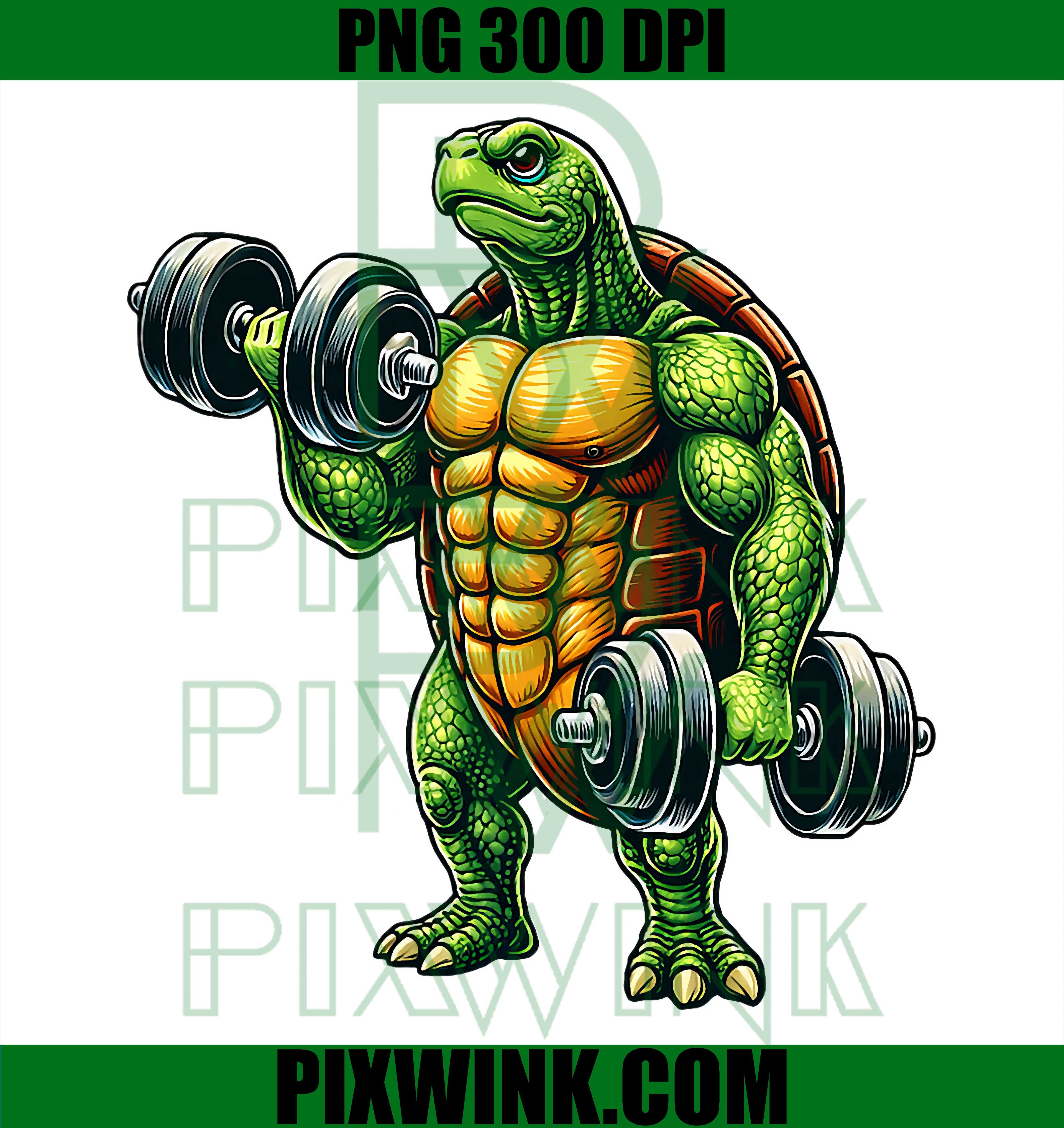 Turtle Powerlifting PNG, Gym Weightlifting Turtle Meme PNG