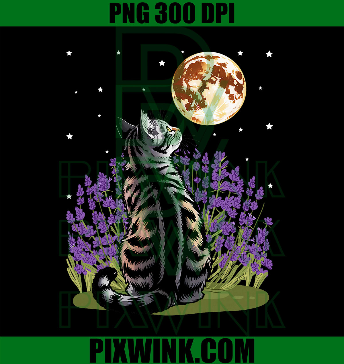 Midnight Cat and Crescent PNG, Enchanted Lunar Garden Scene PNG