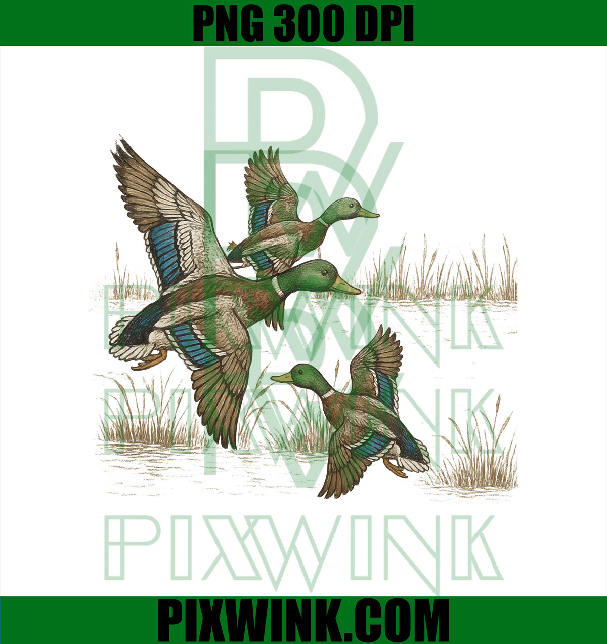 Retro Duck Nature 90s Vintage Wildlife Mallard PNG