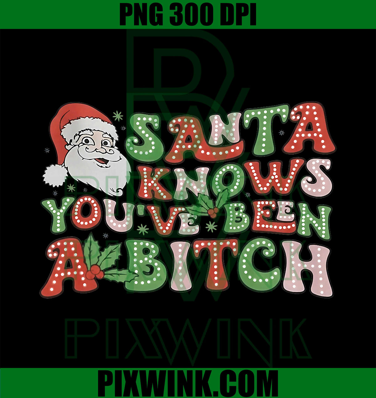 Santa Know You've Been A Bitch PNG