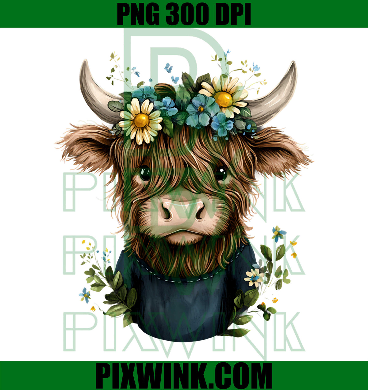 Scottish Highland Cow Cattle Scottish Highlander Hairy Cow PNG
