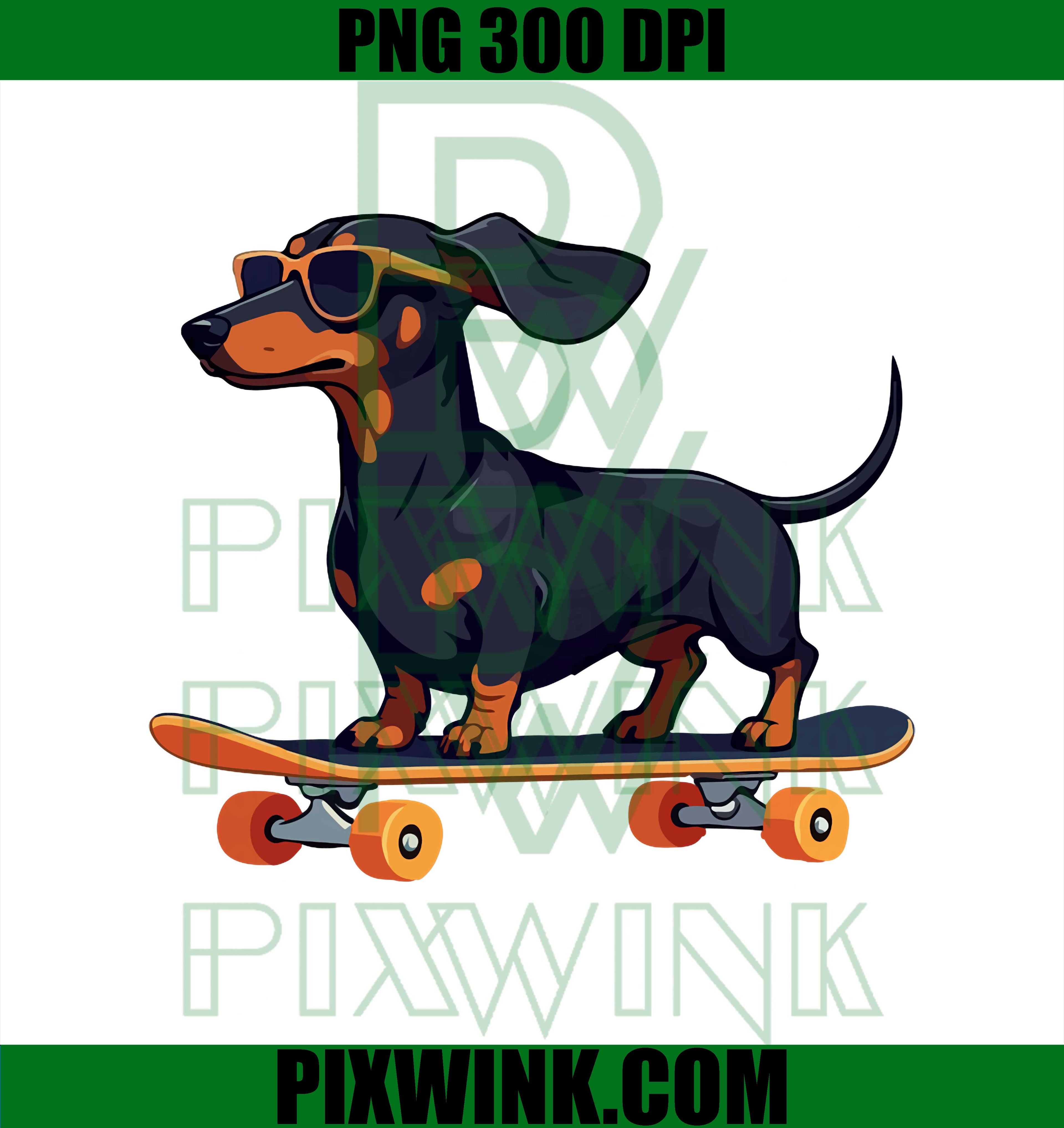 Dachshund Wiener Dog with Sunglasses on a Skateboard PNG, Sunglasses Weiner Dog PNG