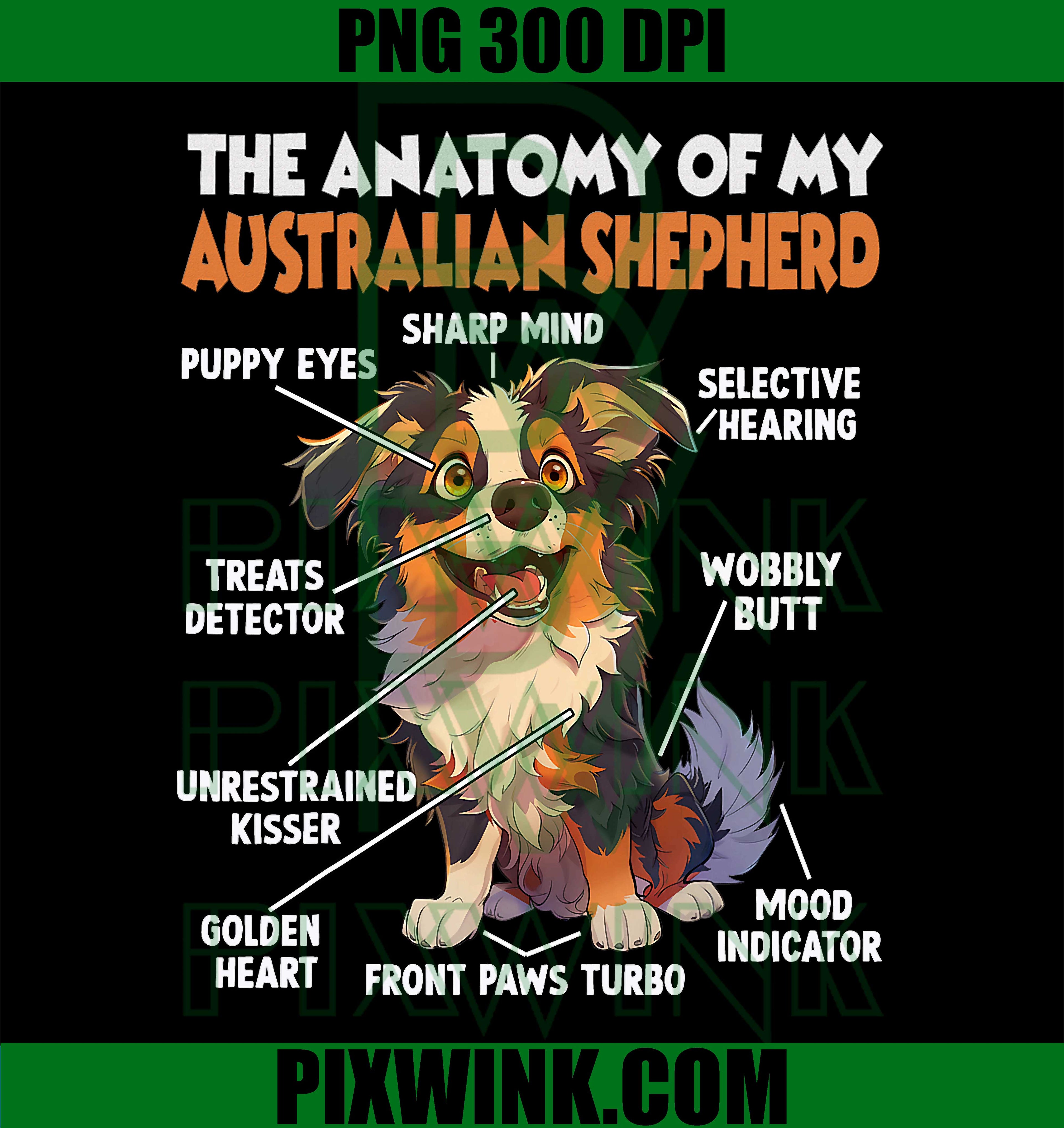 Australian Shepherd, Dog Owner, Walking Dogs PNG