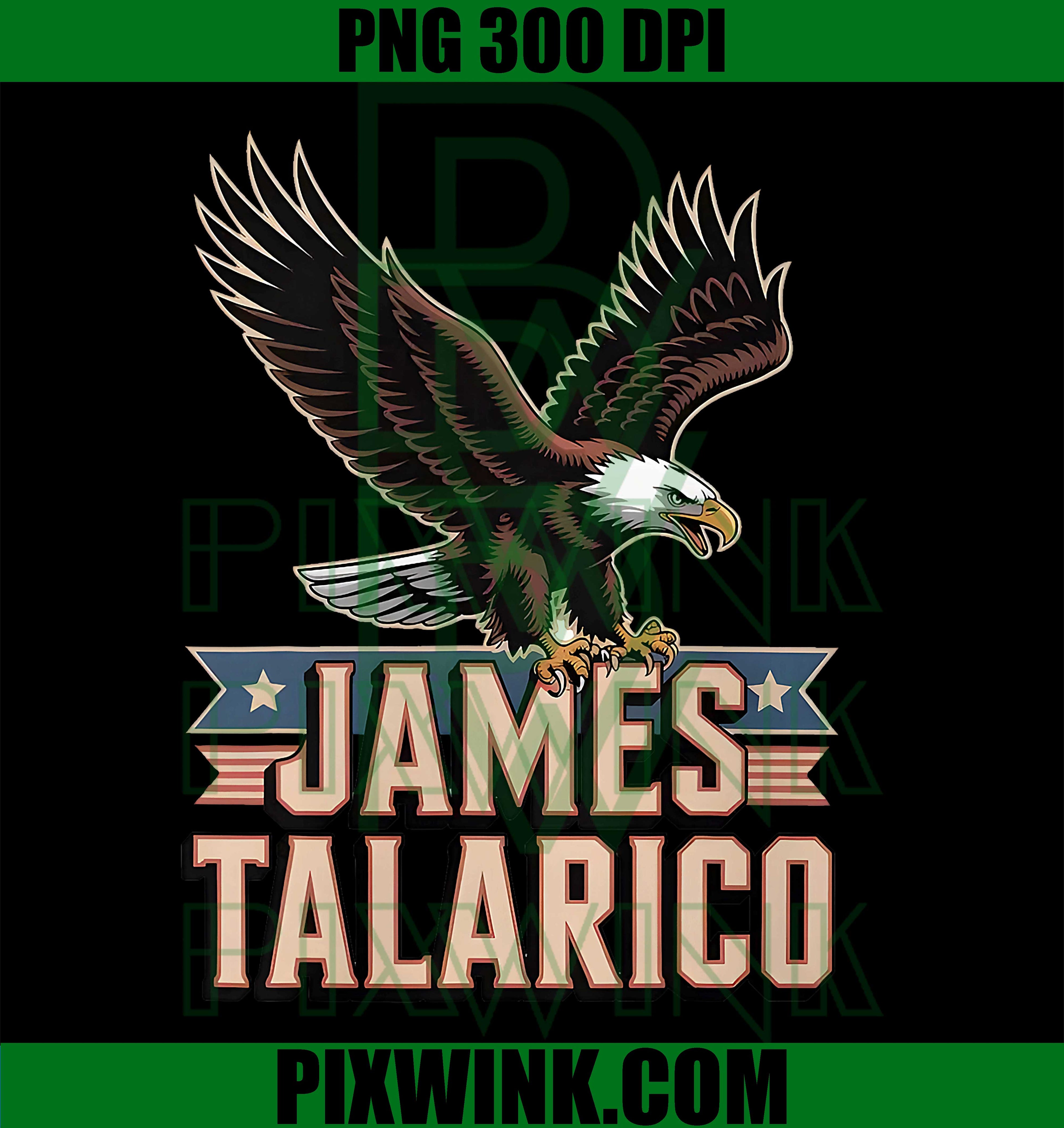 James Talarico PNG, Senate Texas PNG, Patriotic Eagle PNG