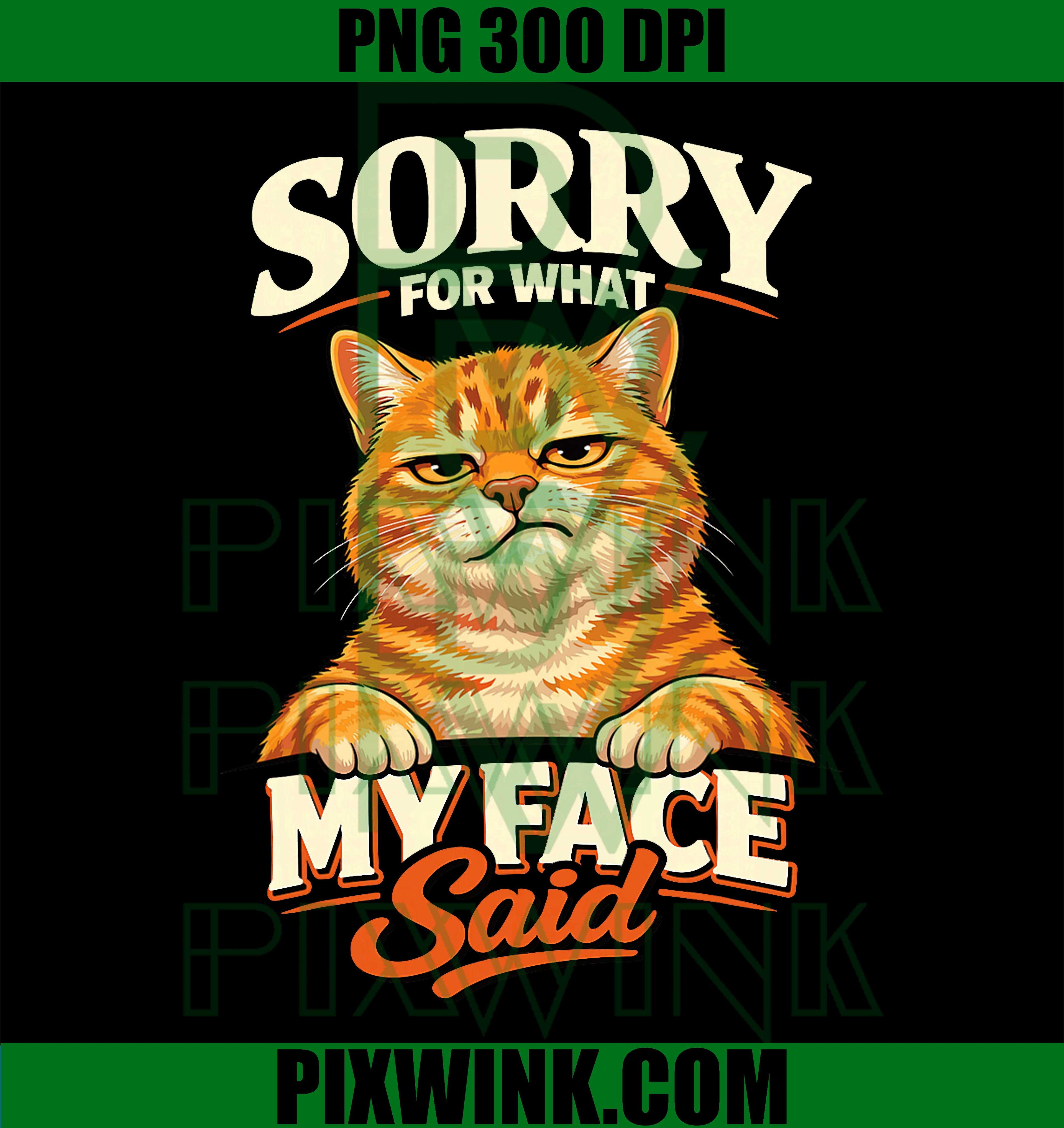Sorry For What My Face Said PNG, Introvert Cat Funny PNG
