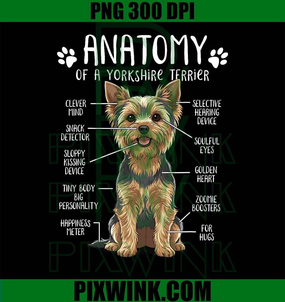 Funny Yorkie Anatomy, Yorkshire Terrier Dog Lover, Yorkie Mom PNG