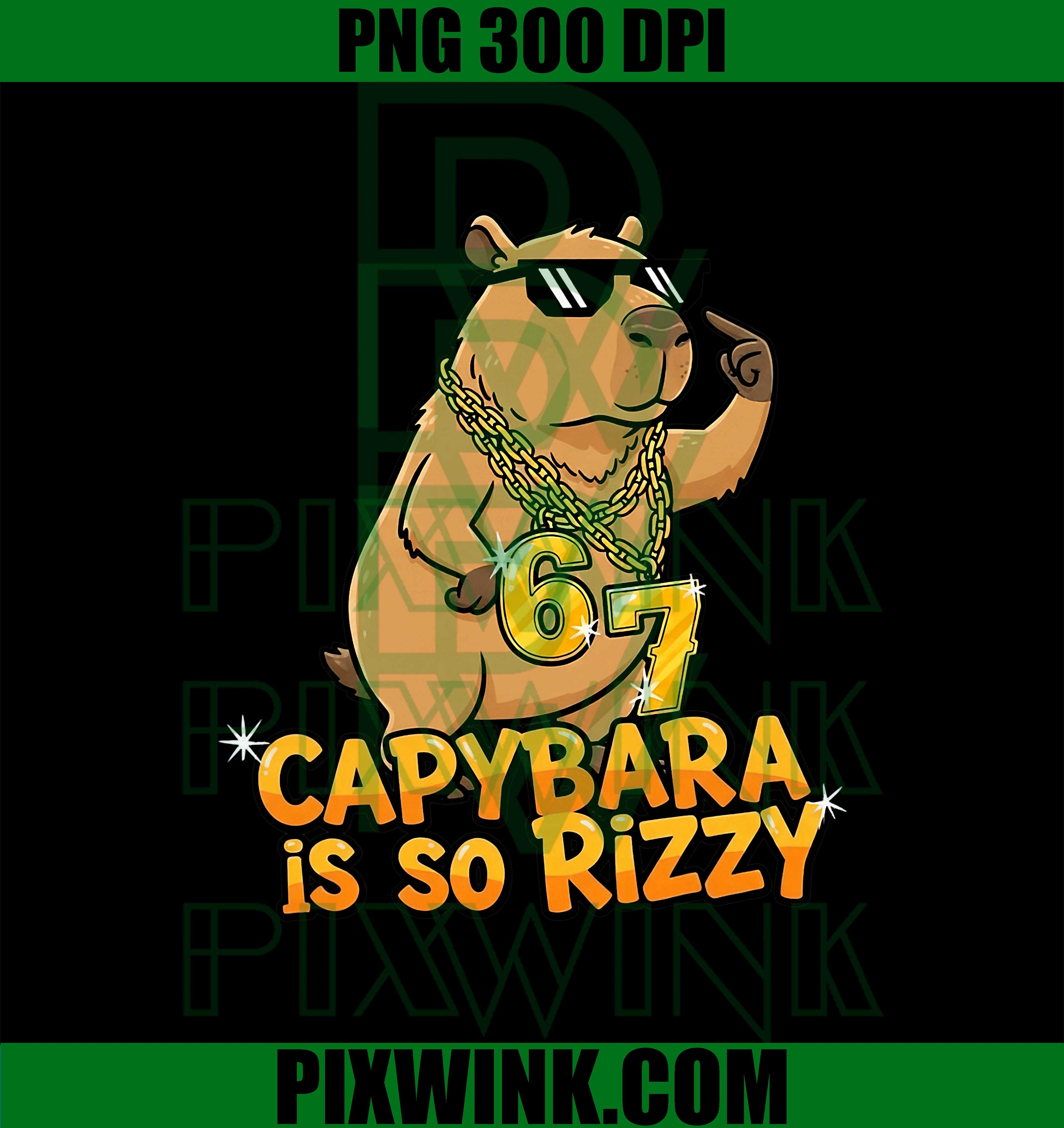 Funny Capybara is So Rizzy Meme 67 PNG