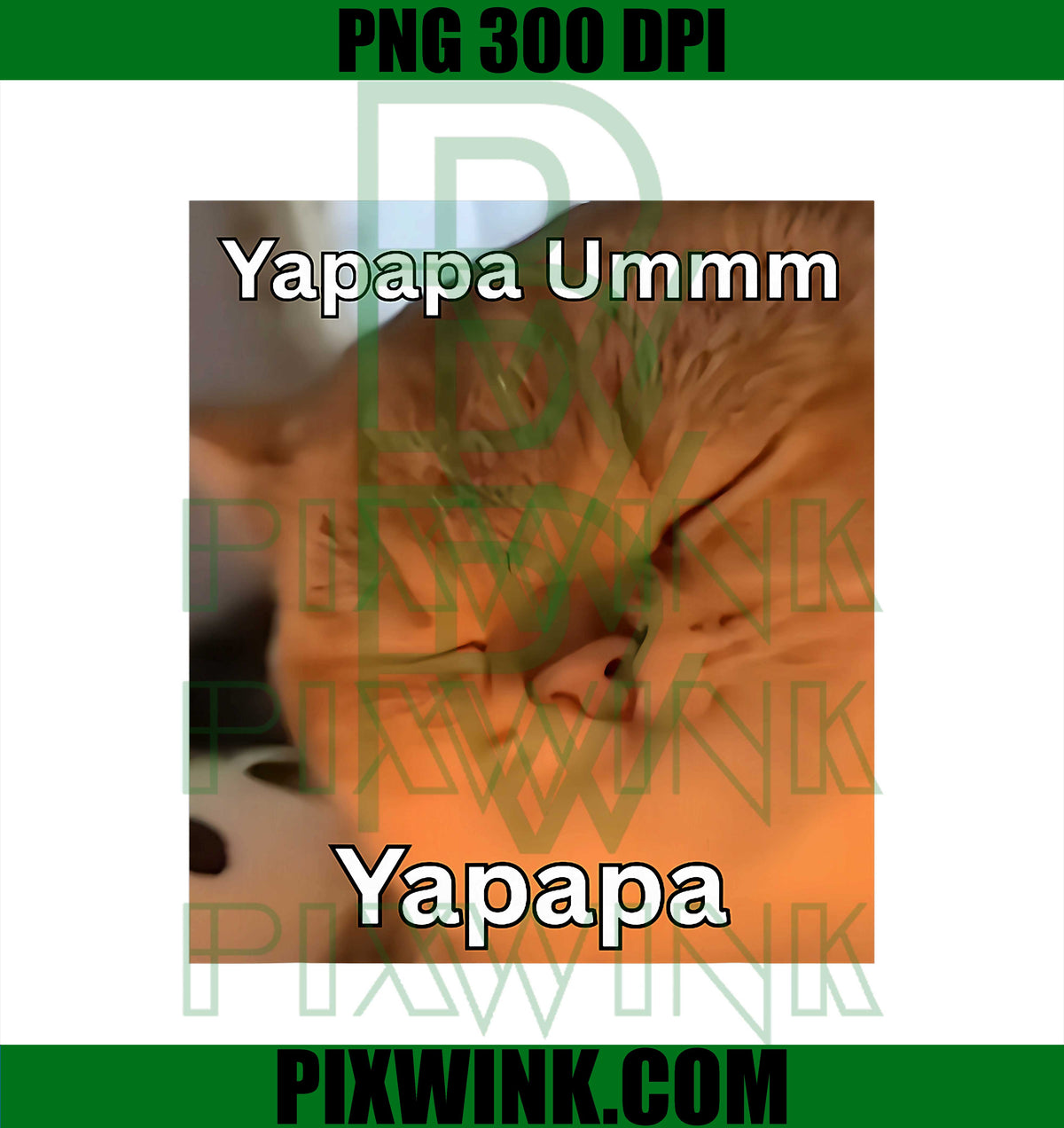 Yapapa Ummmm Yapapa PNG, Funny Cat Trendy Meme Trending PNG
