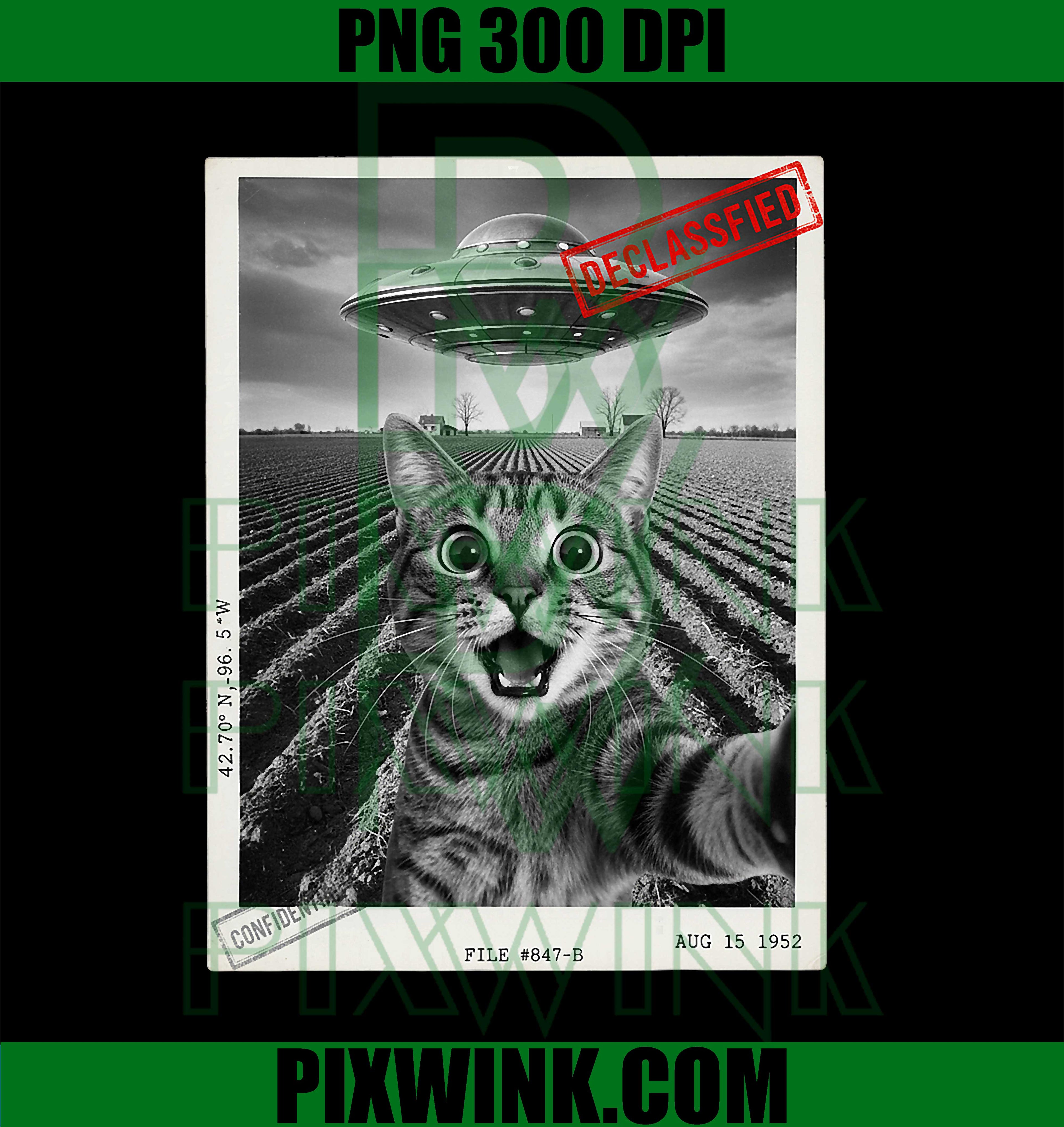 Cat Selfie UFO, Alien Funny Surprised Cat Meme PNG