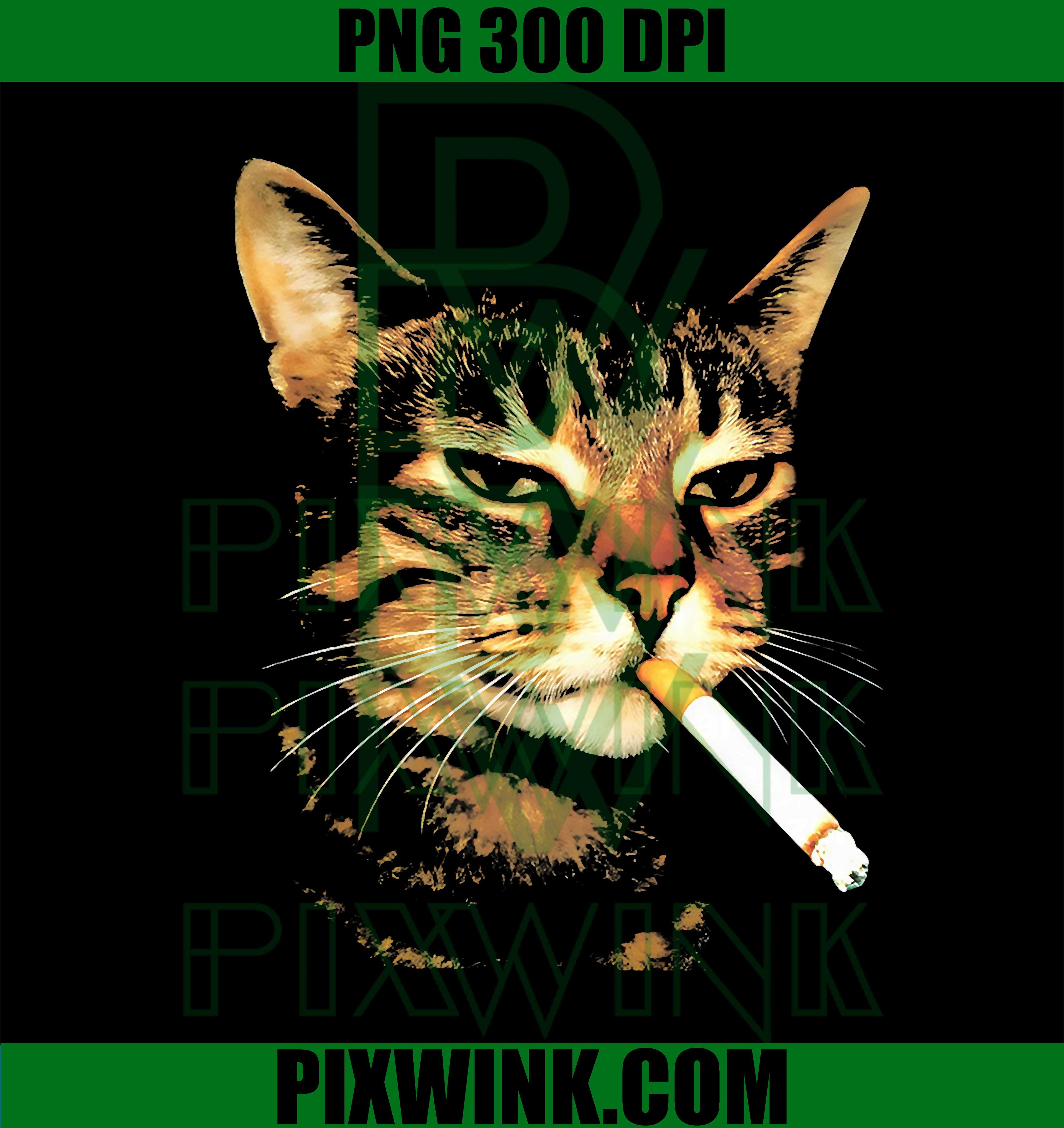 Cat Smoking a Cigarette PNG