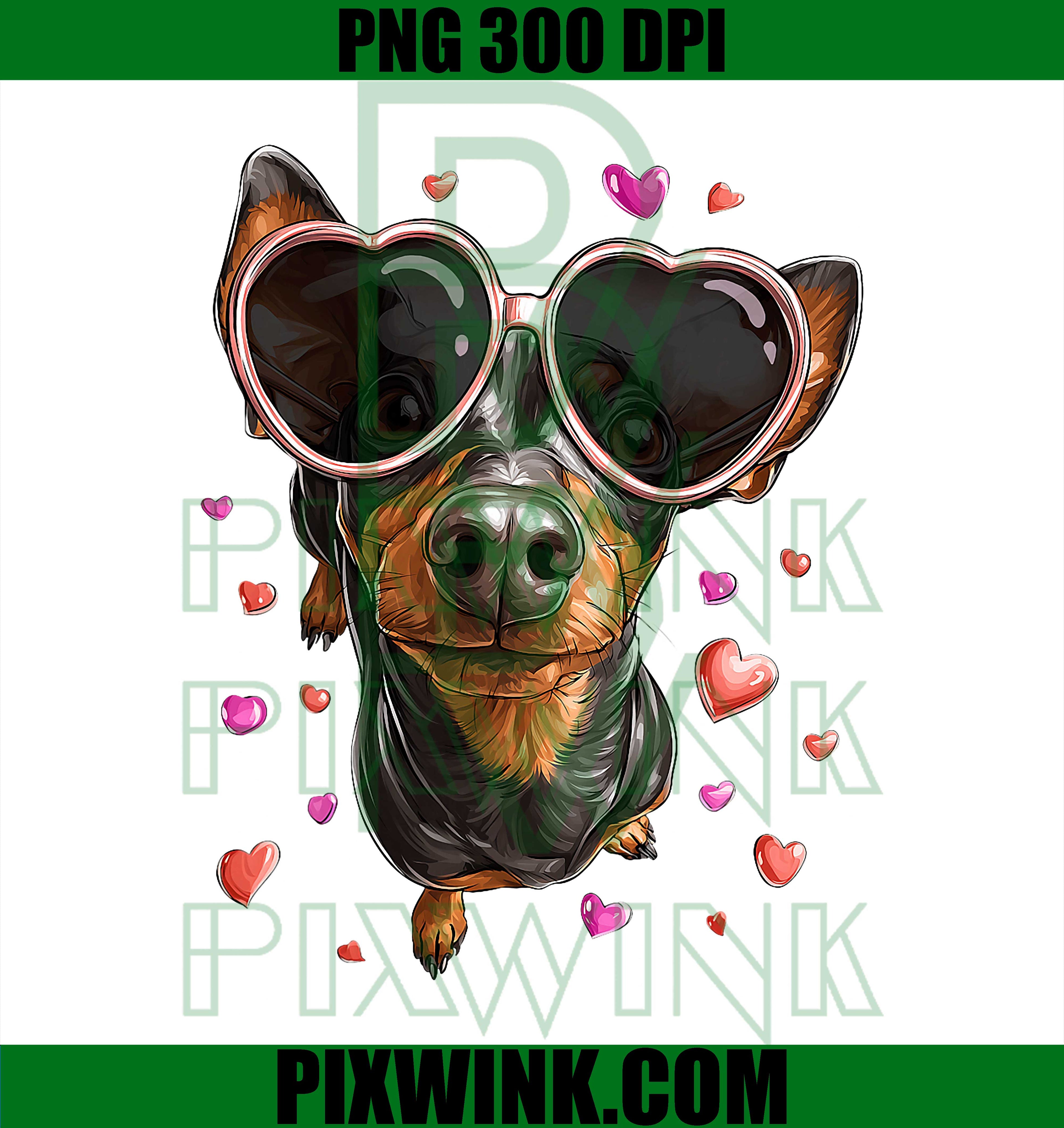 Miniature Pinscher PNG, Minpin Dog Valentine's Day Heart PNG