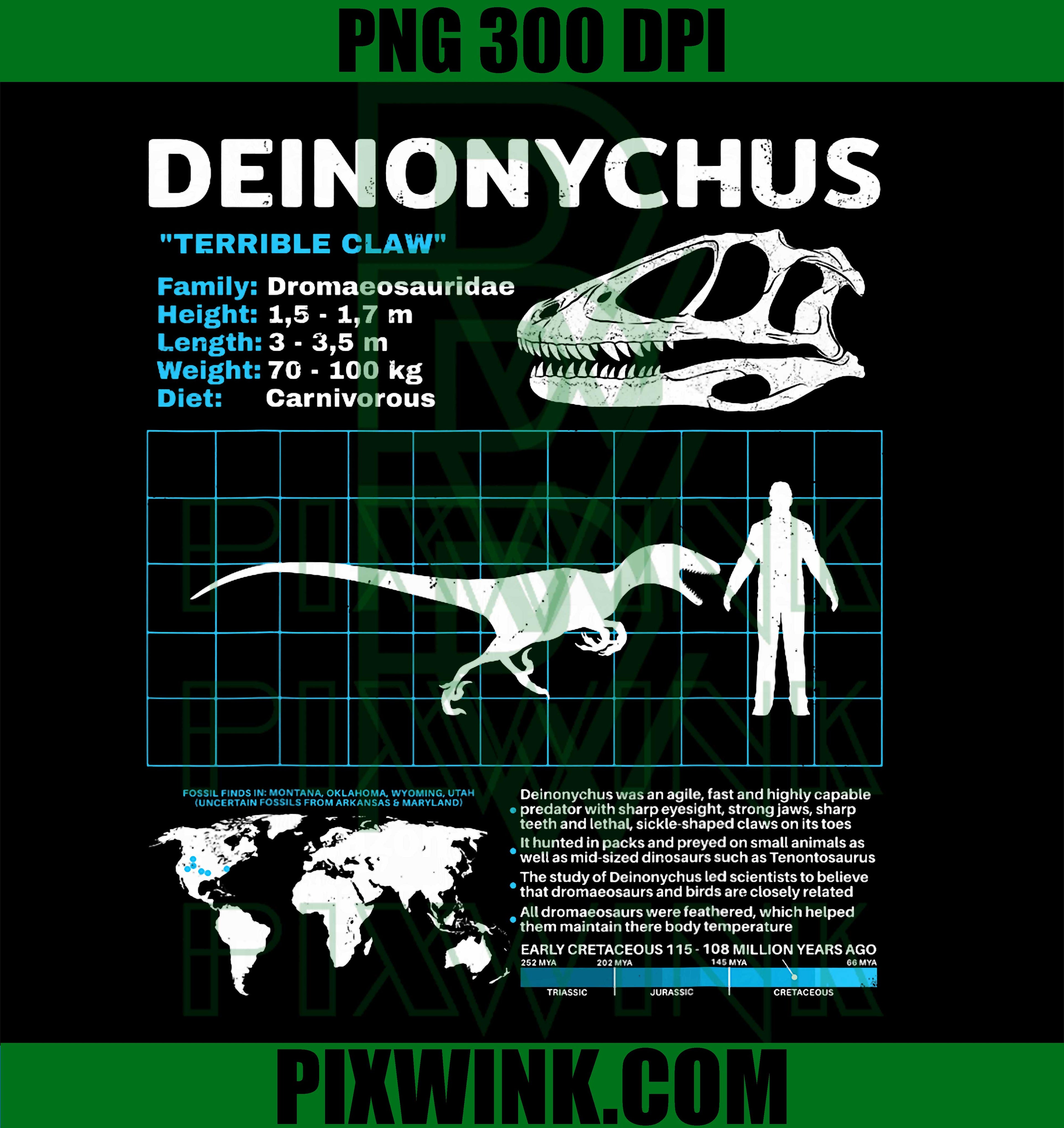 Deinonychus Fact Sheet Skull Fossil PNG
