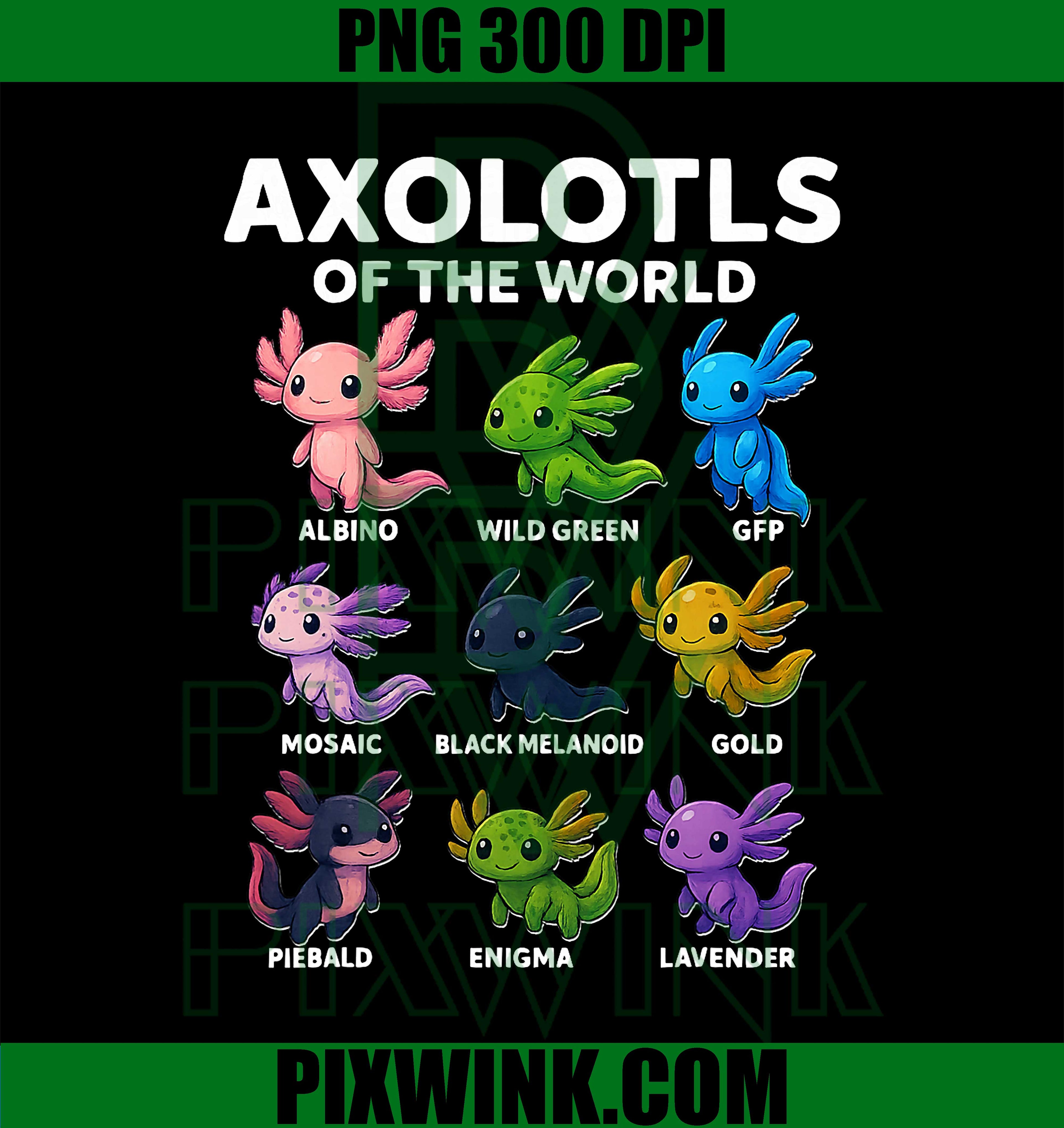 Axolotl Kawaii Axolotls of The World, Cute Axolotl Animals PNG
