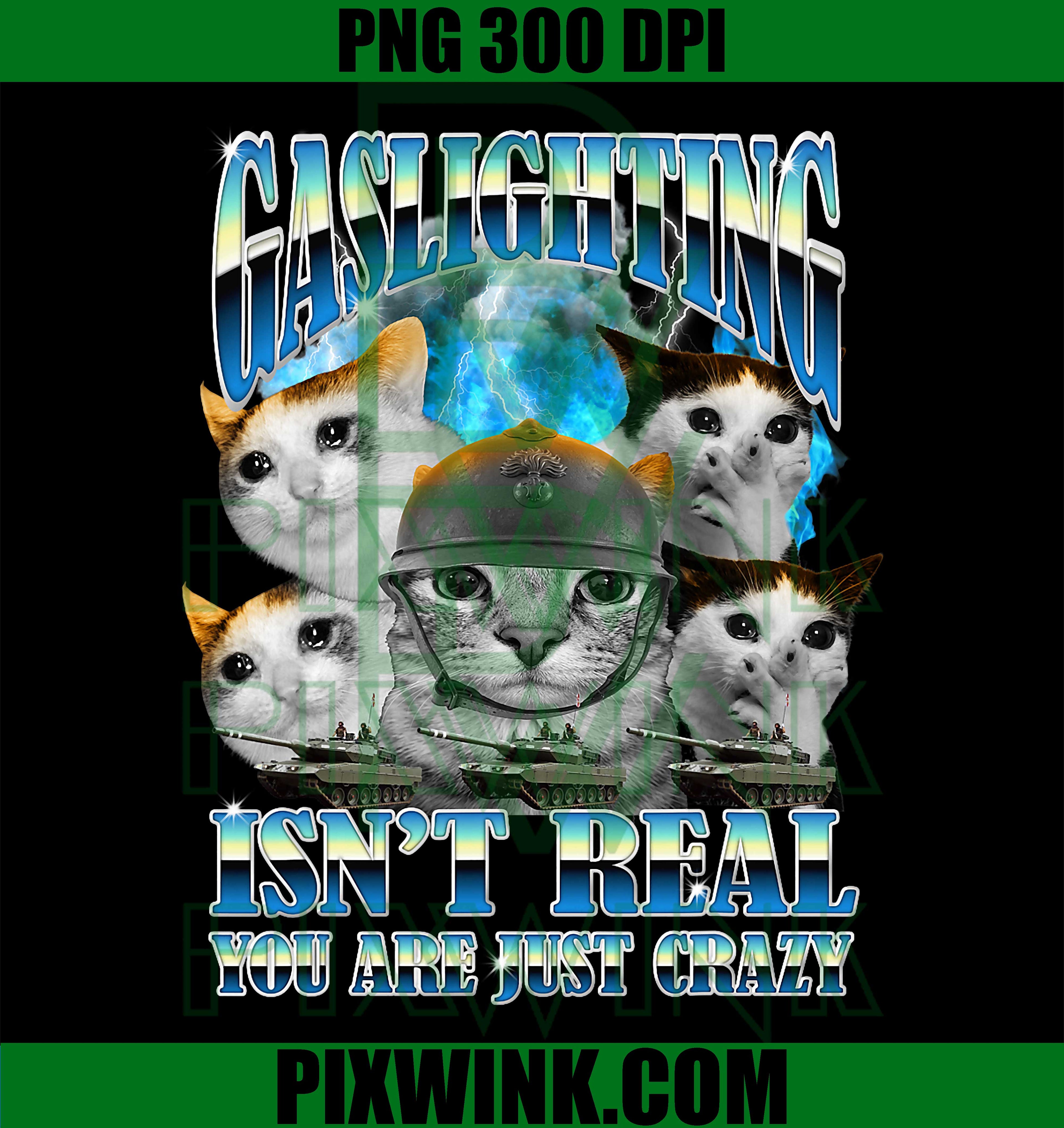Funny Cat Meme PNG, Gaslighting Humor PNG, Bootleg Tummy Ache PNG