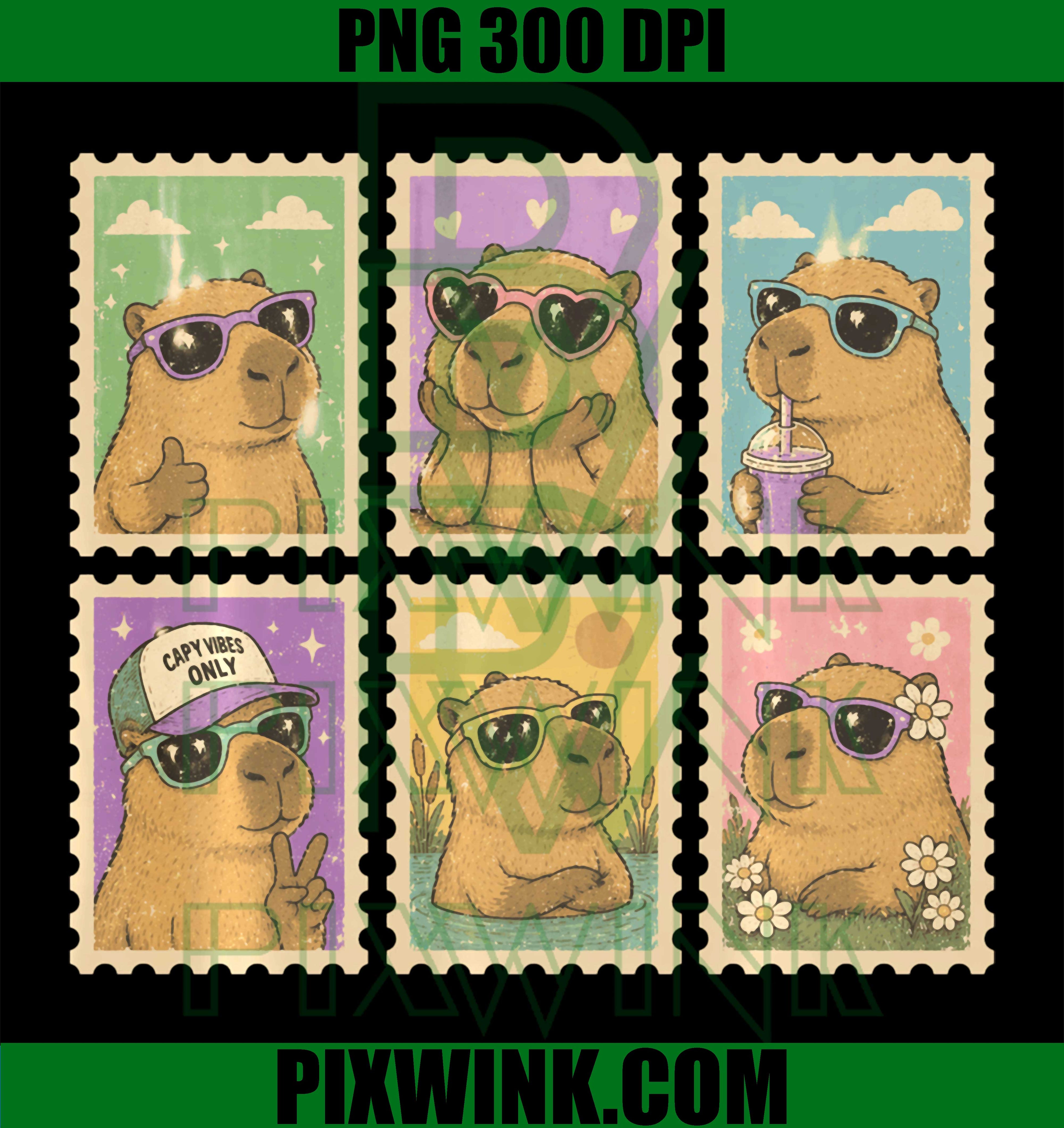 Funny Capybara Vibes PNG, Cute Aesthetic Capybara Graphic PNG