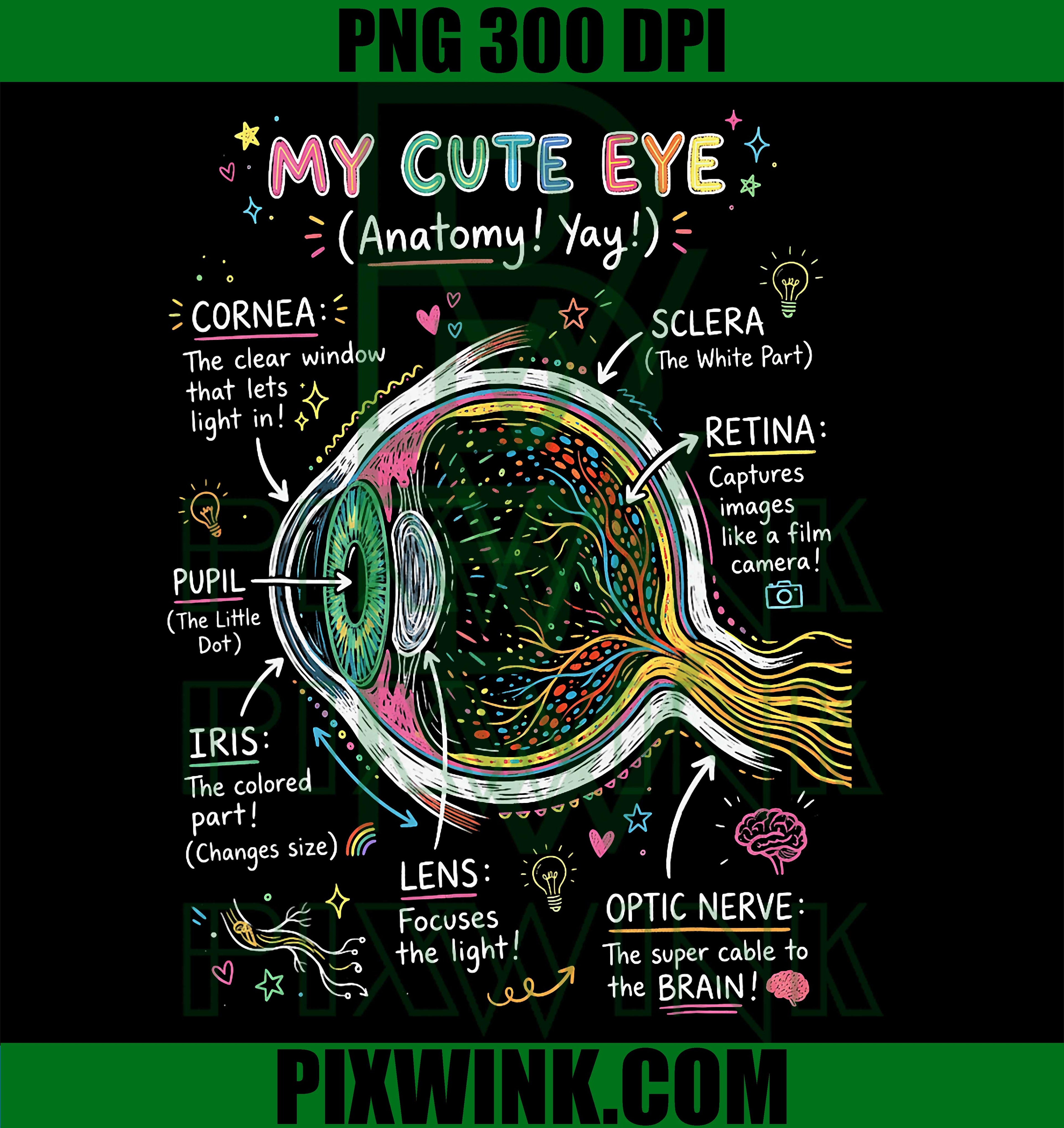 Eye Anatomy PNG, Human Vision Science Cute Diagram PNG