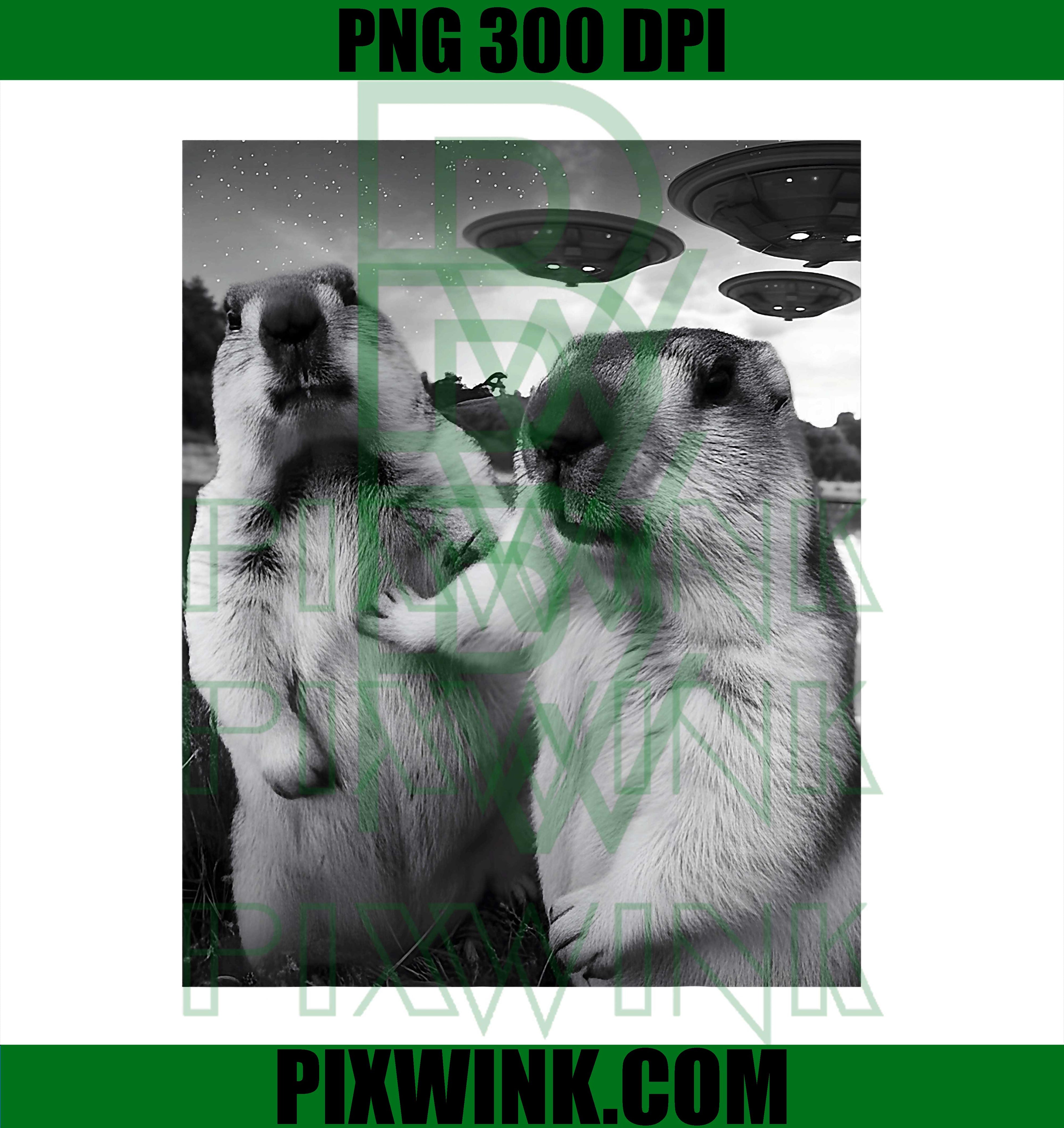 Alien Capybara Selfie UFO, Men Women Graphic PNG
