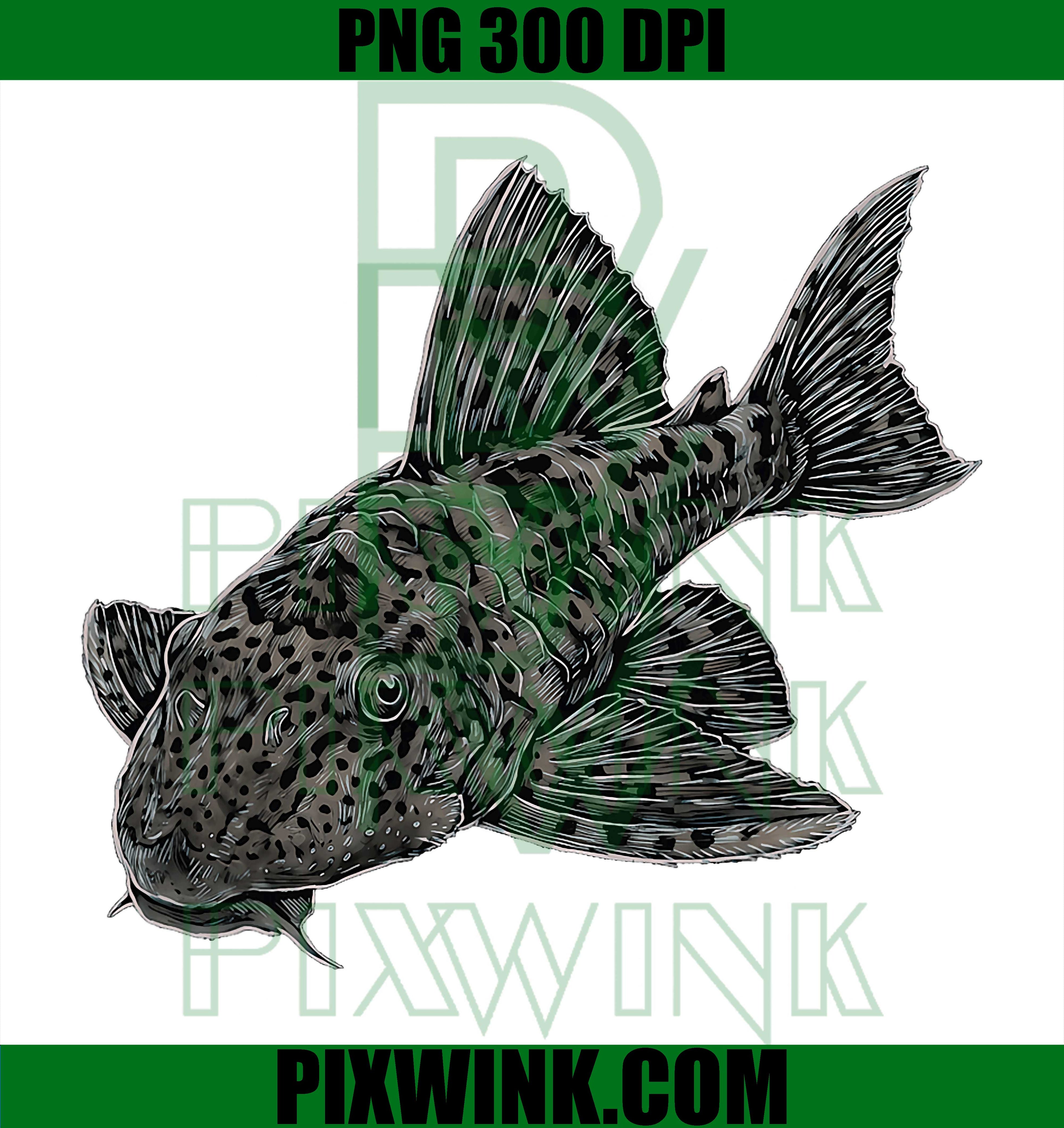 Common Pleco PNG, Hypostomus Plecostomus PNG, Freshwater Fish Art PNG
