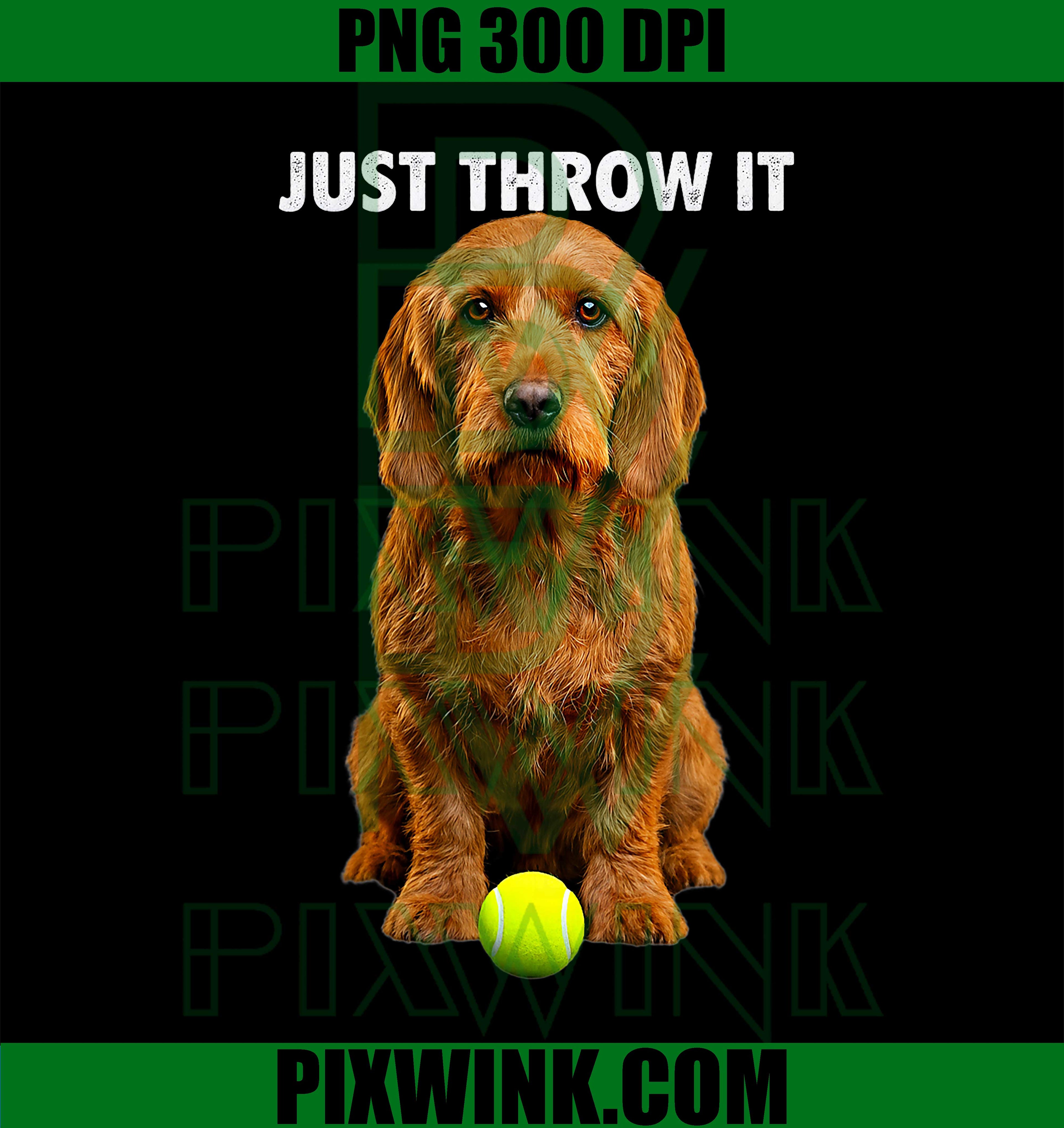 Basset Fauve de Bretagne Fetch PNG, Just Throw It Dog PNG