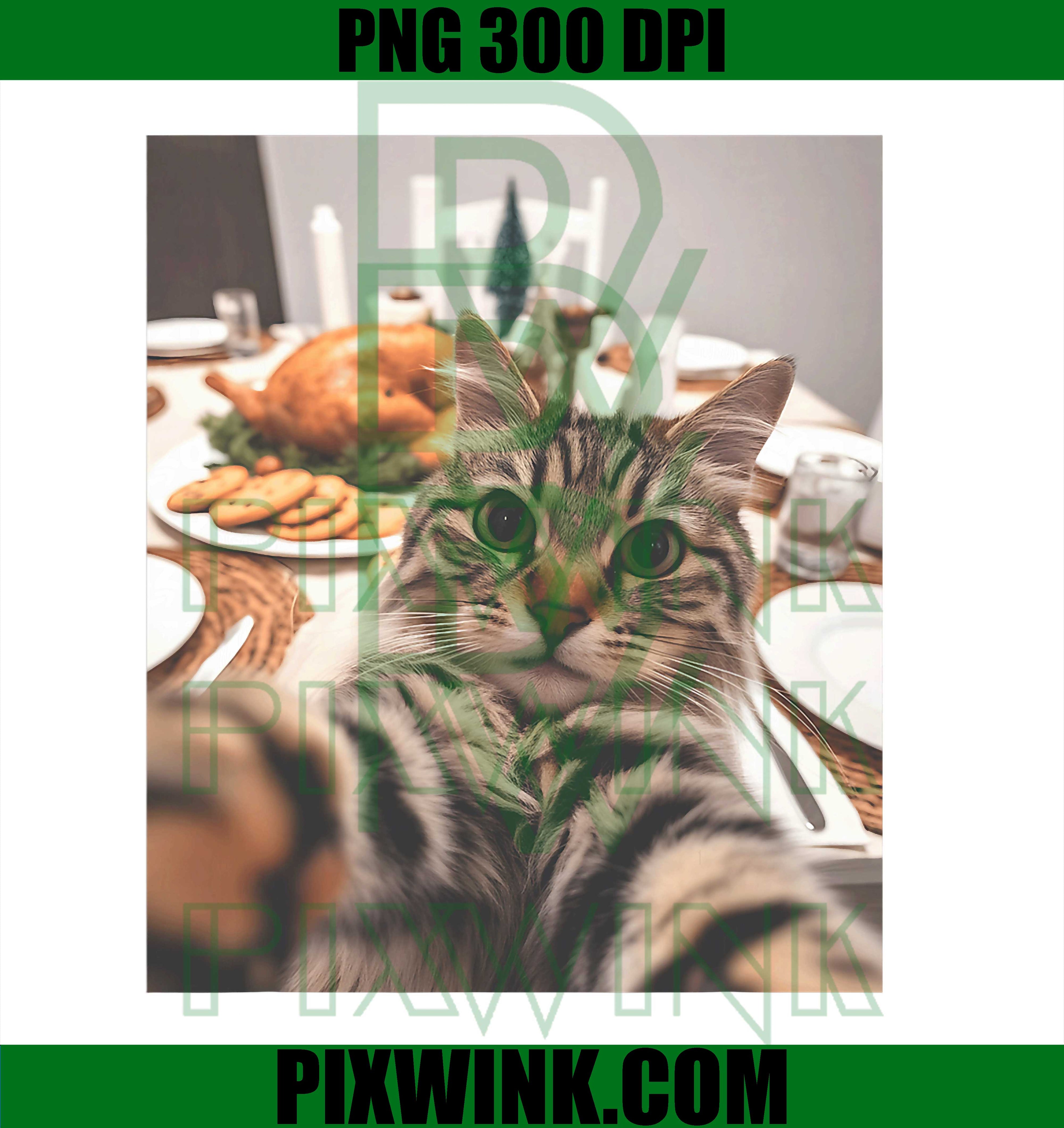 Cat Selfie Thanksgiving Funny Turkey Dinner PNG