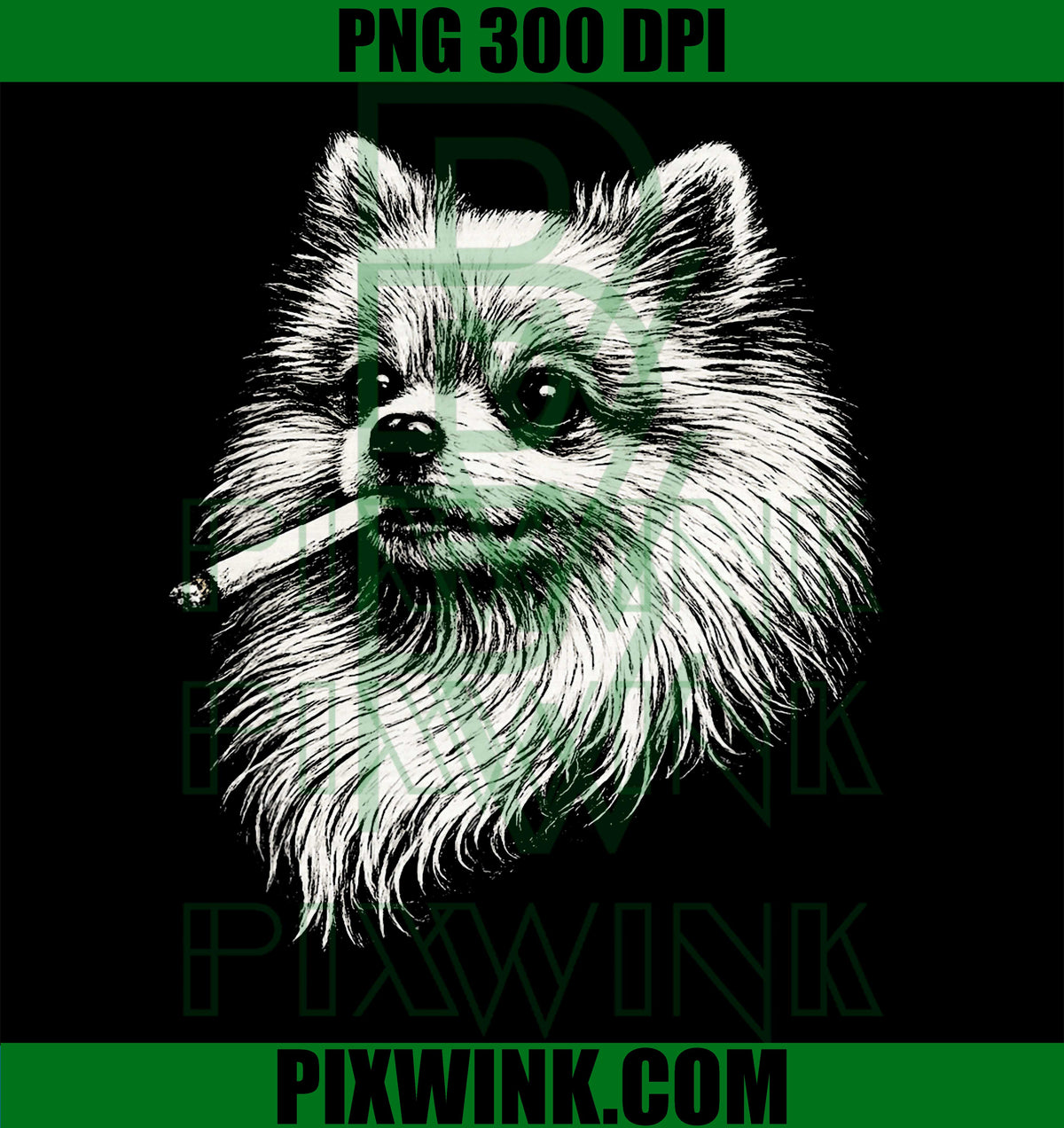 Smoking Pomeranian Dog PNG, Funny Dog Smoking PNG

