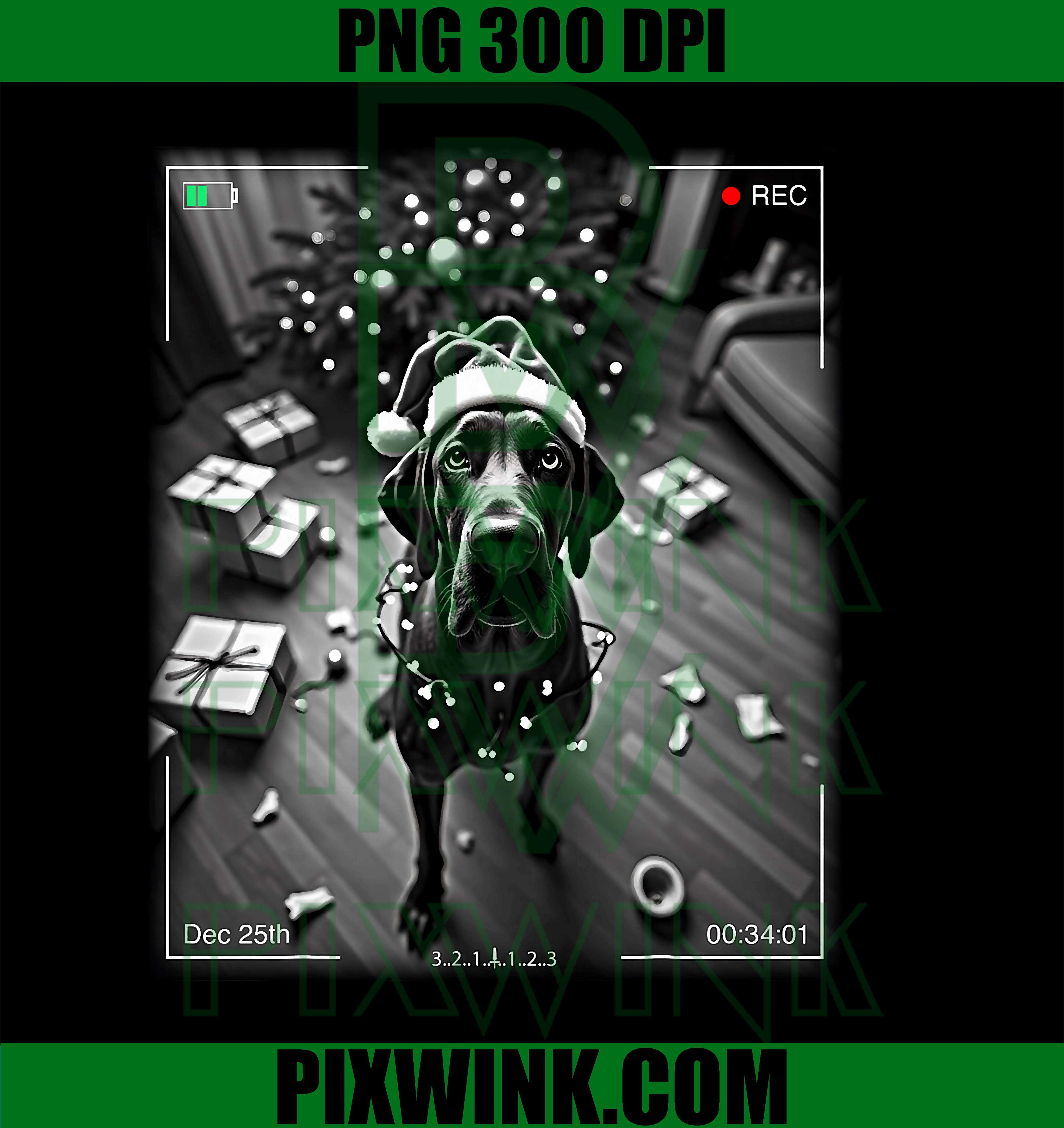 Christmas Great Dane Caught On Camera PNG
