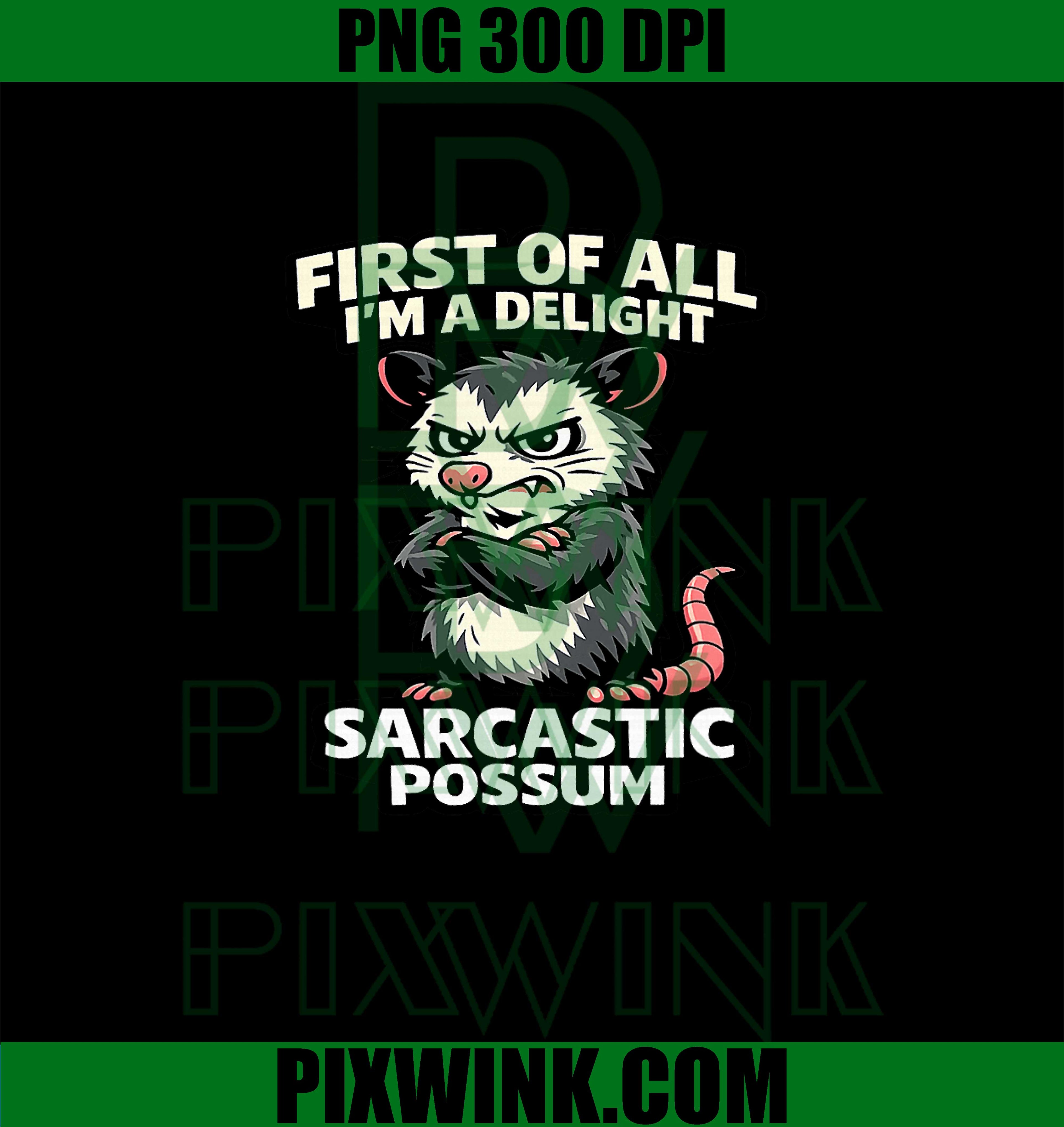 First Of All I’m A Delight Possum PNG, Sarcastic Possum Graphic PNG