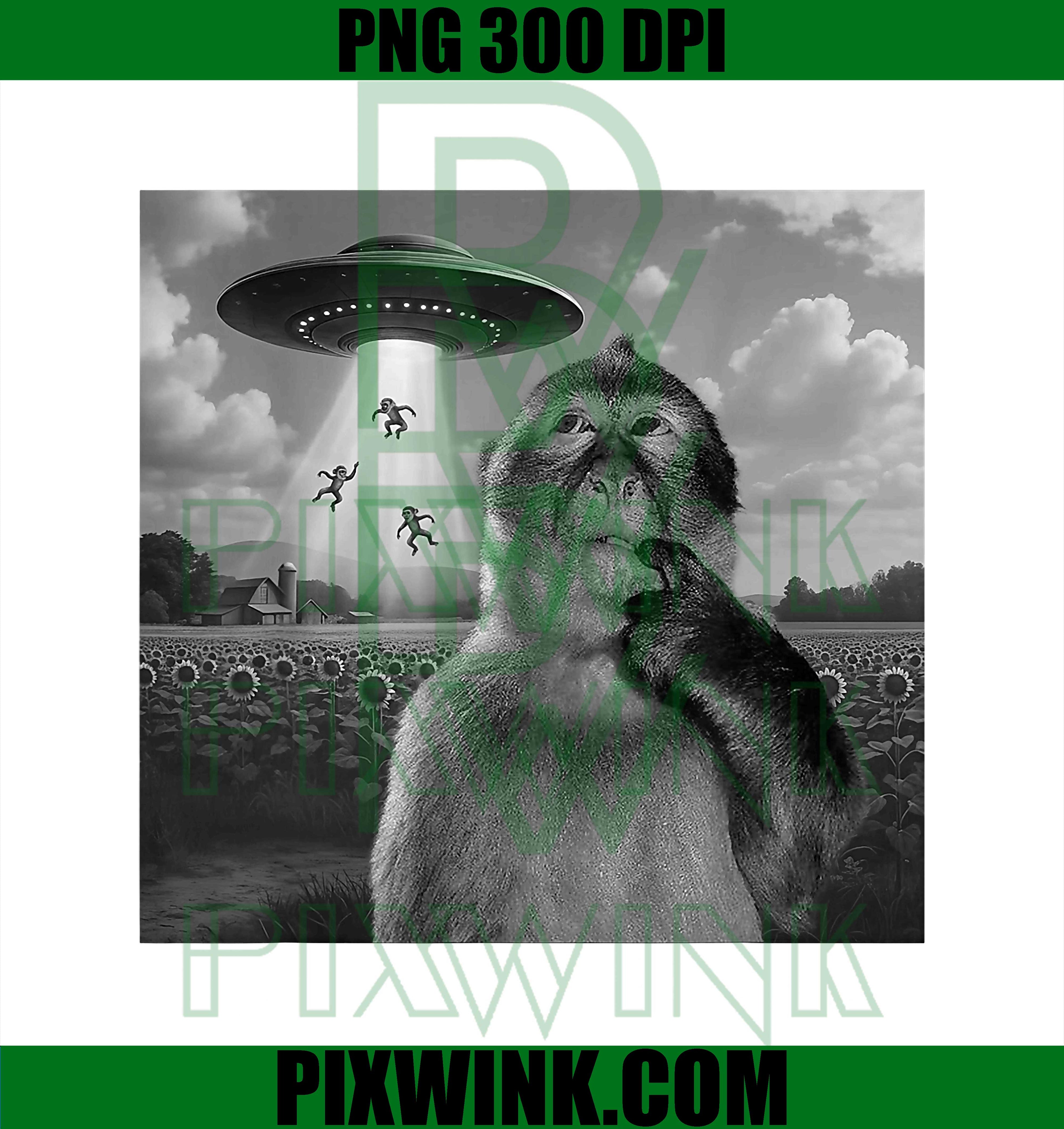 Stupid Monkey Meme, UFO Funny PNG